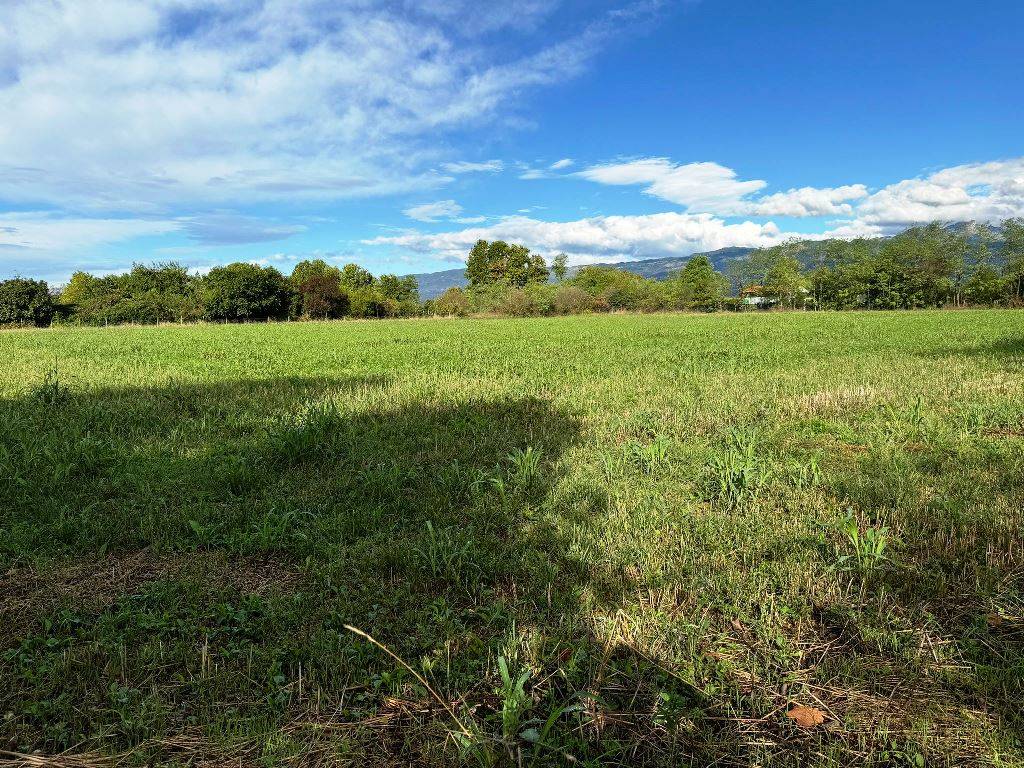 Terreno Agricolo in vendita a Pordenone, Torre