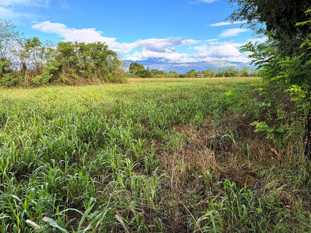 Terreno Agricolo in vendita a Pordenone, Torre
