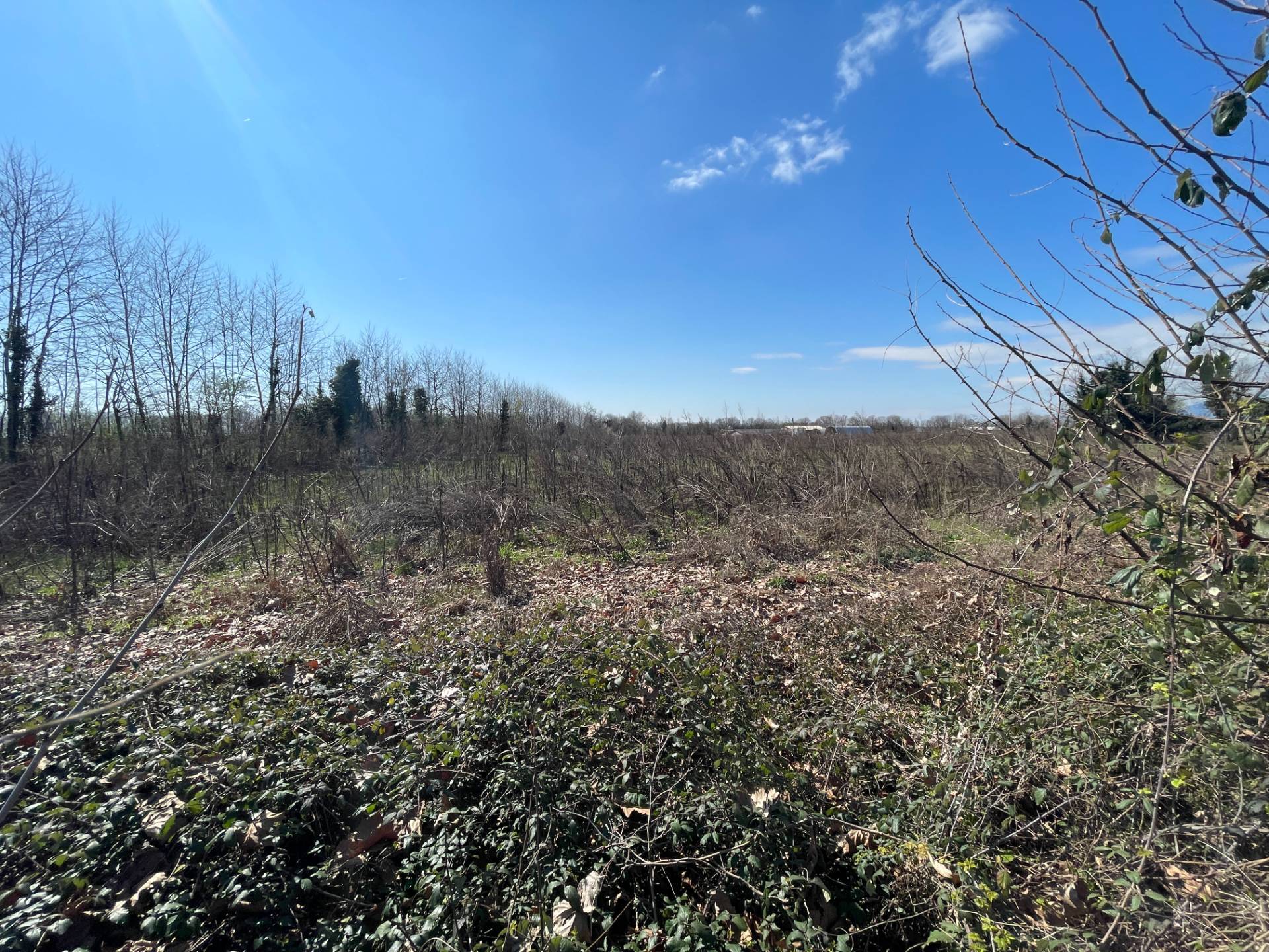 Terreno Agricolo in vendita a Aviano, San Martino di Campagna