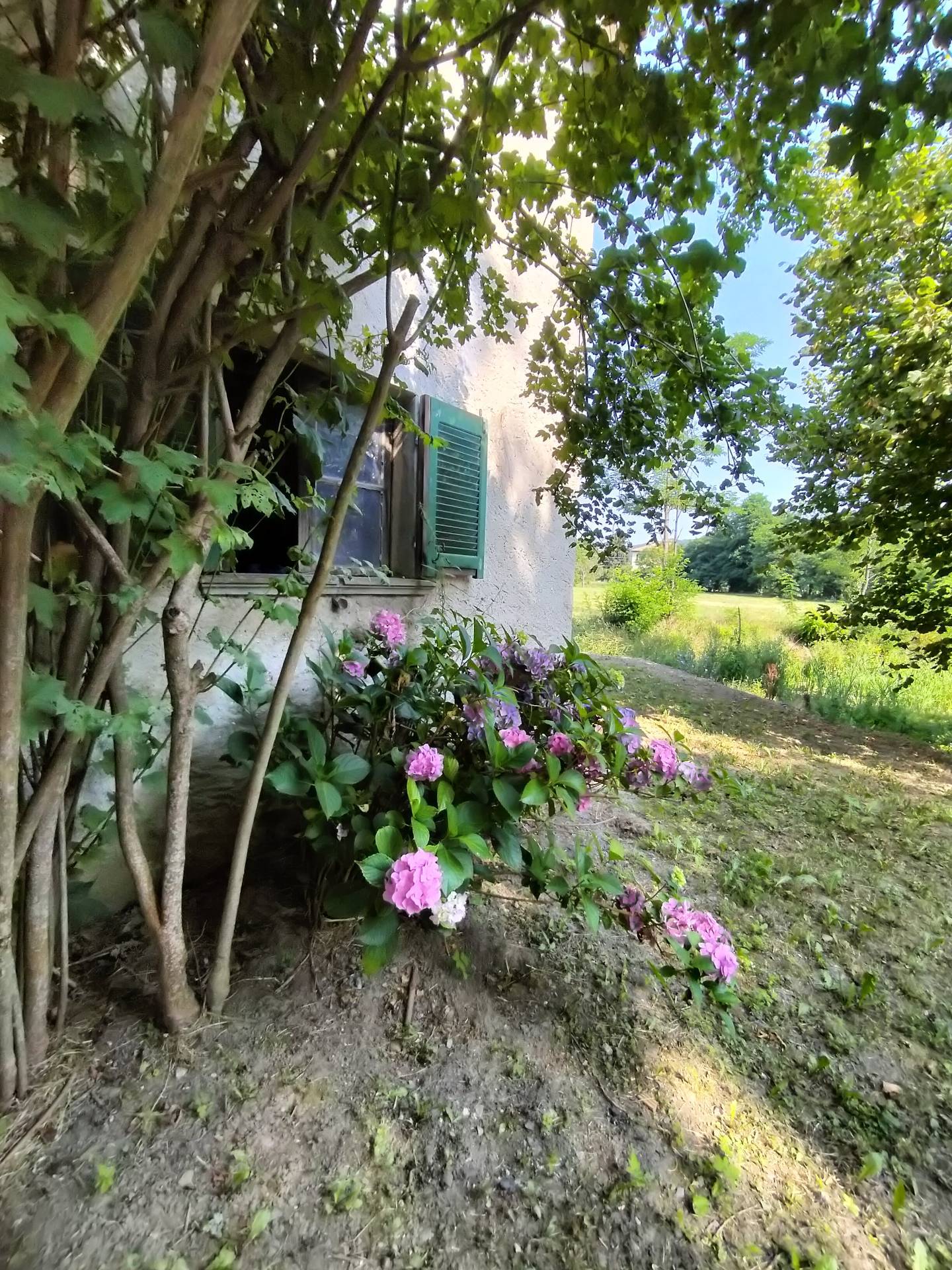 Casa indipendente in vendita a Giusvalla