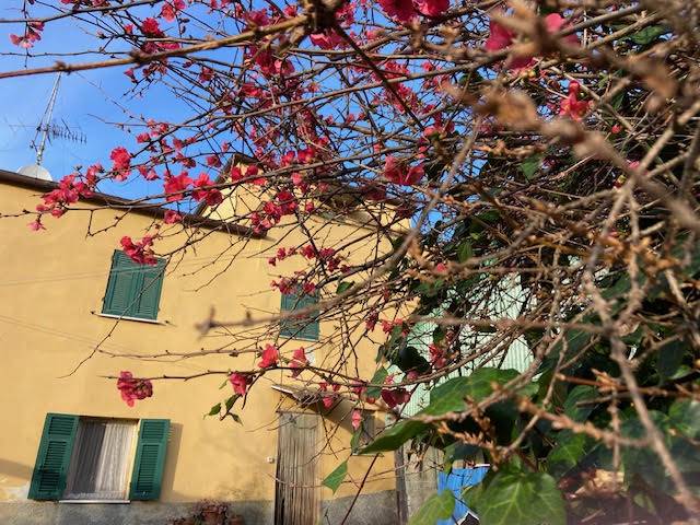 Casa indipendente in vendita a Albisola Superiore