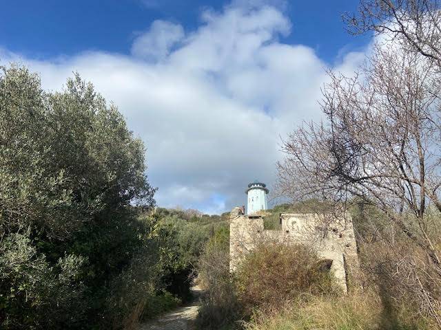 Terreno edificabile in vendita a Albissola Marina