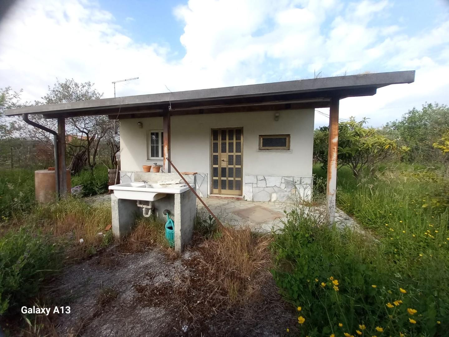 Terreno Agricolo in vendita, Castelnuovo Magra colombiera