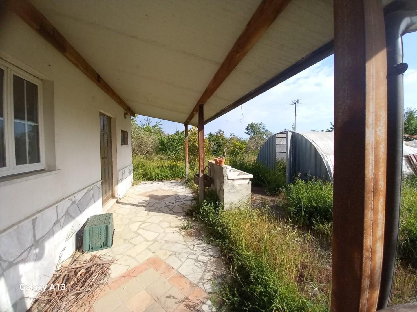 Terreno Agricolo in vendita, Castelnuovo Magra colombiera