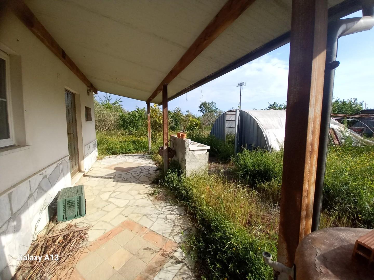 Terreno Agricolo in vendita, Castelnuovo Magra colombiera