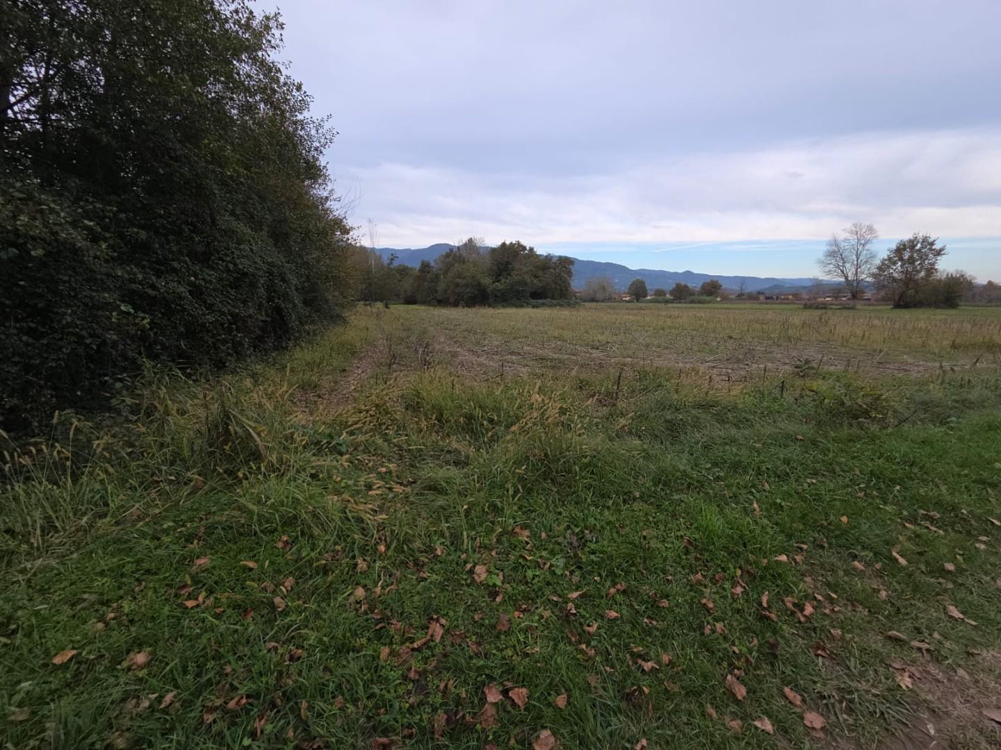 Terreno Agricolo in vendita, Capannori segromigno in piano