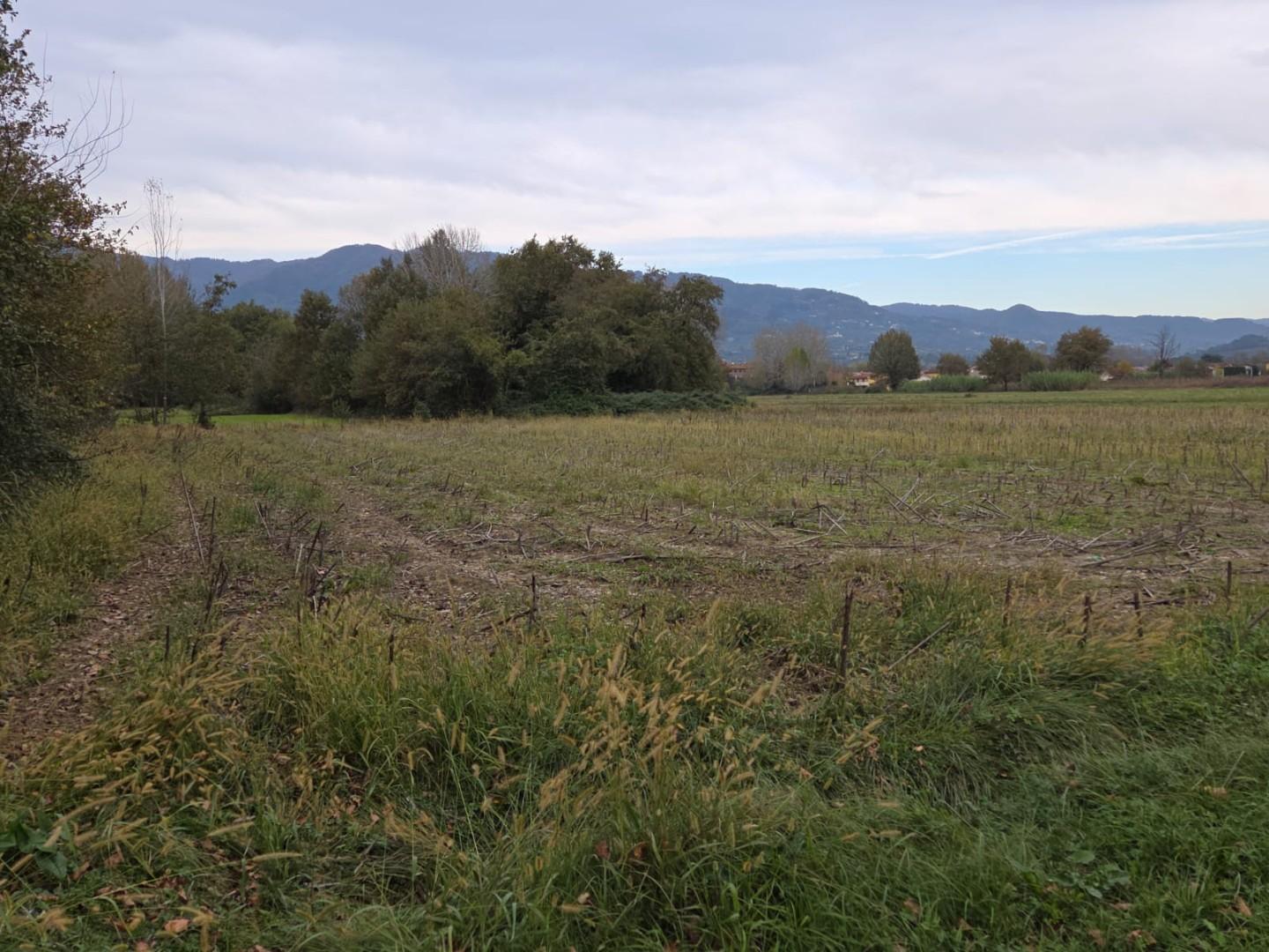 Terreno Agricolo in vendita, Capannori segromigno in piano
