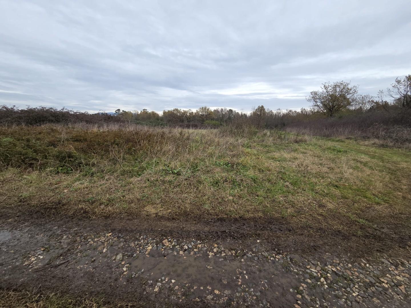Terreno Agricolo in vendita, Castelfranco di Sotto orentano
