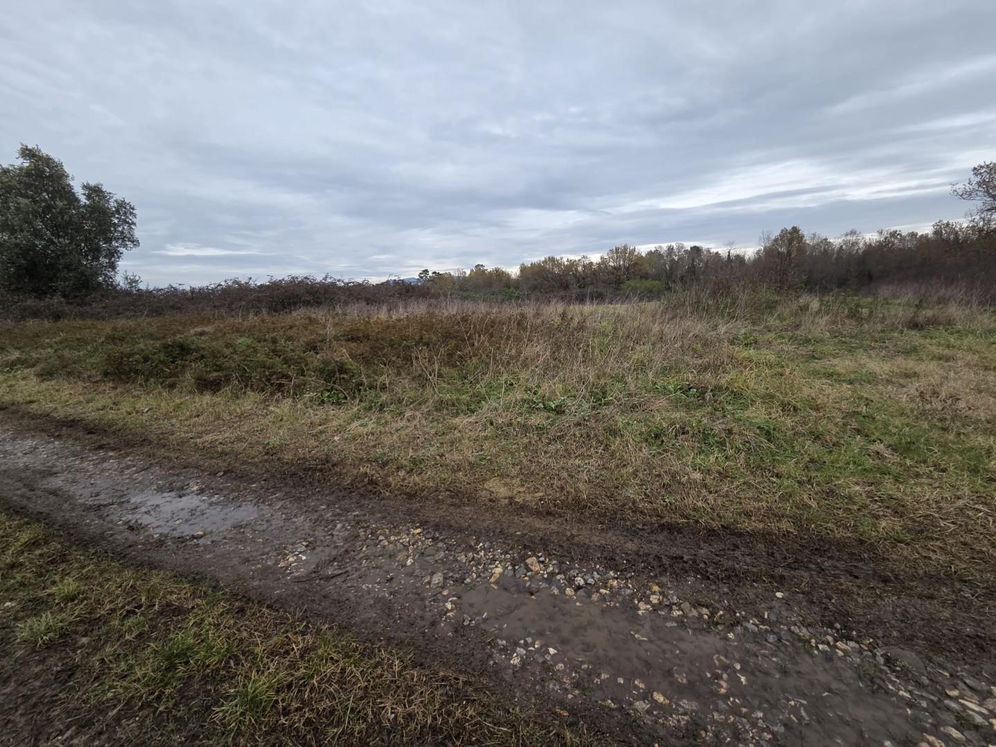 Terreno Agricolo in vendita, Castelfranco di Sotto orentano