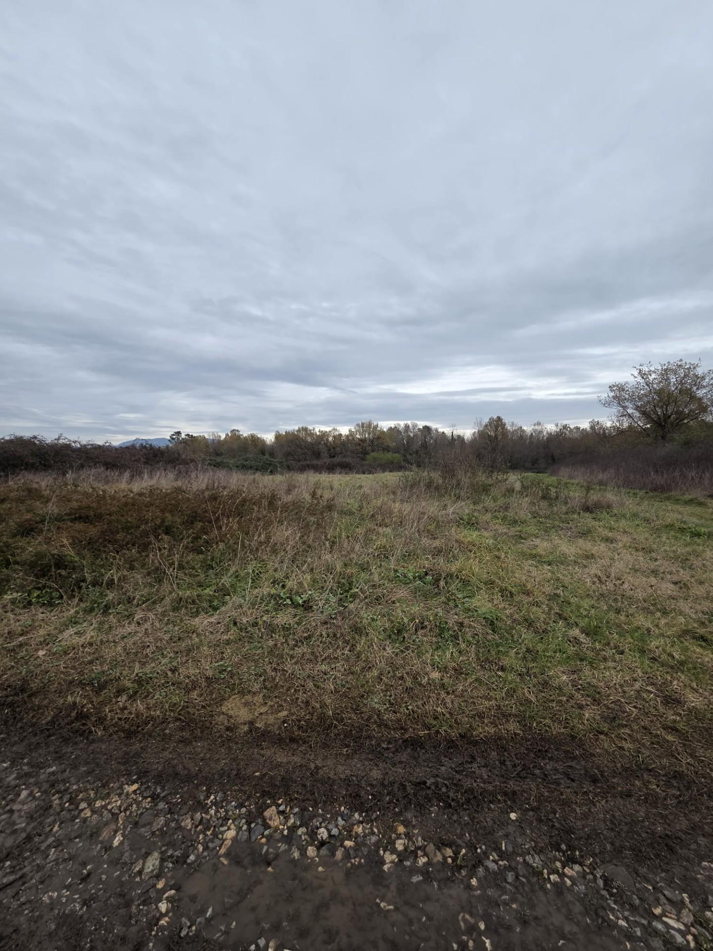 Terreno Agricolo in vendita, Castelfranco di Sotto orentano