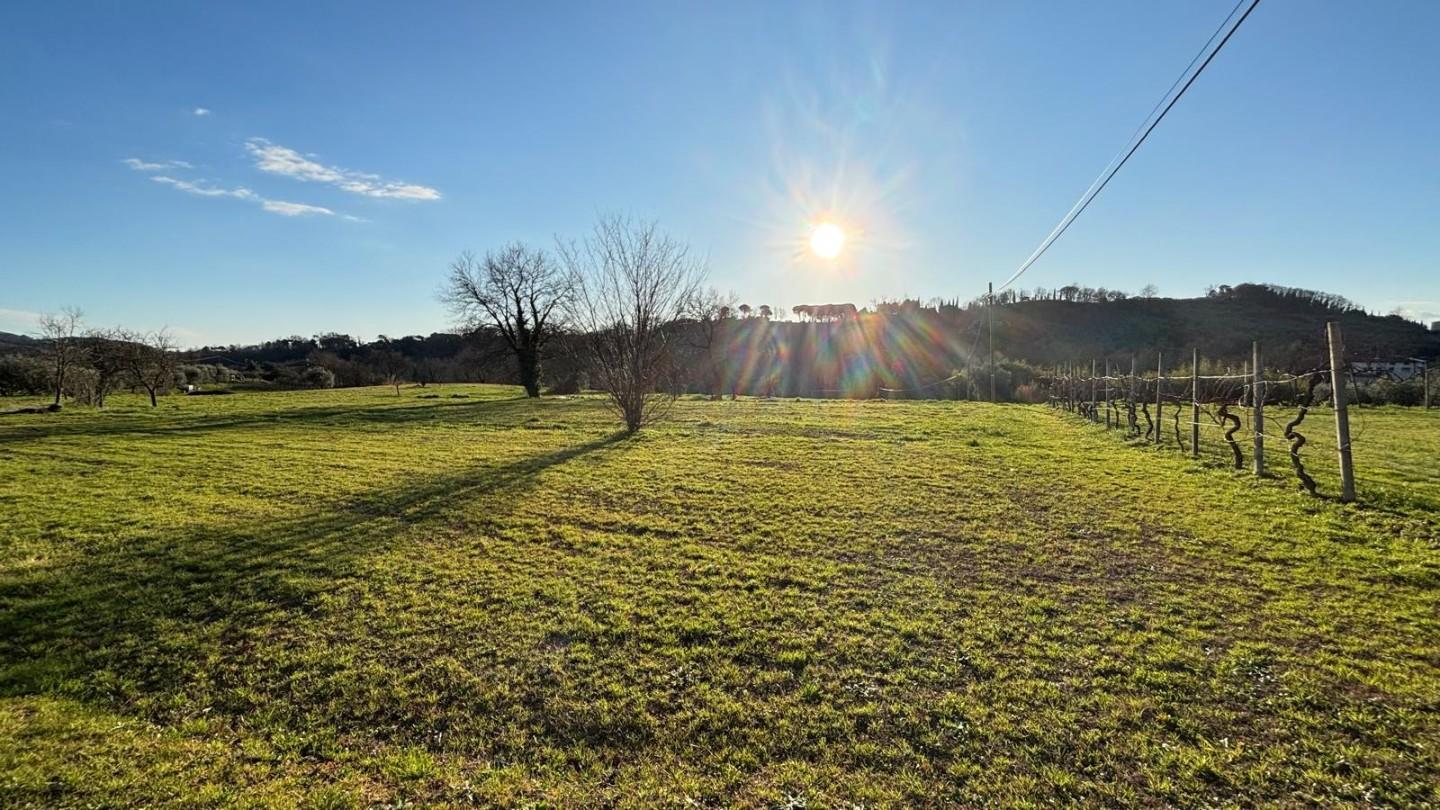 immagine annuncio 4 di 6