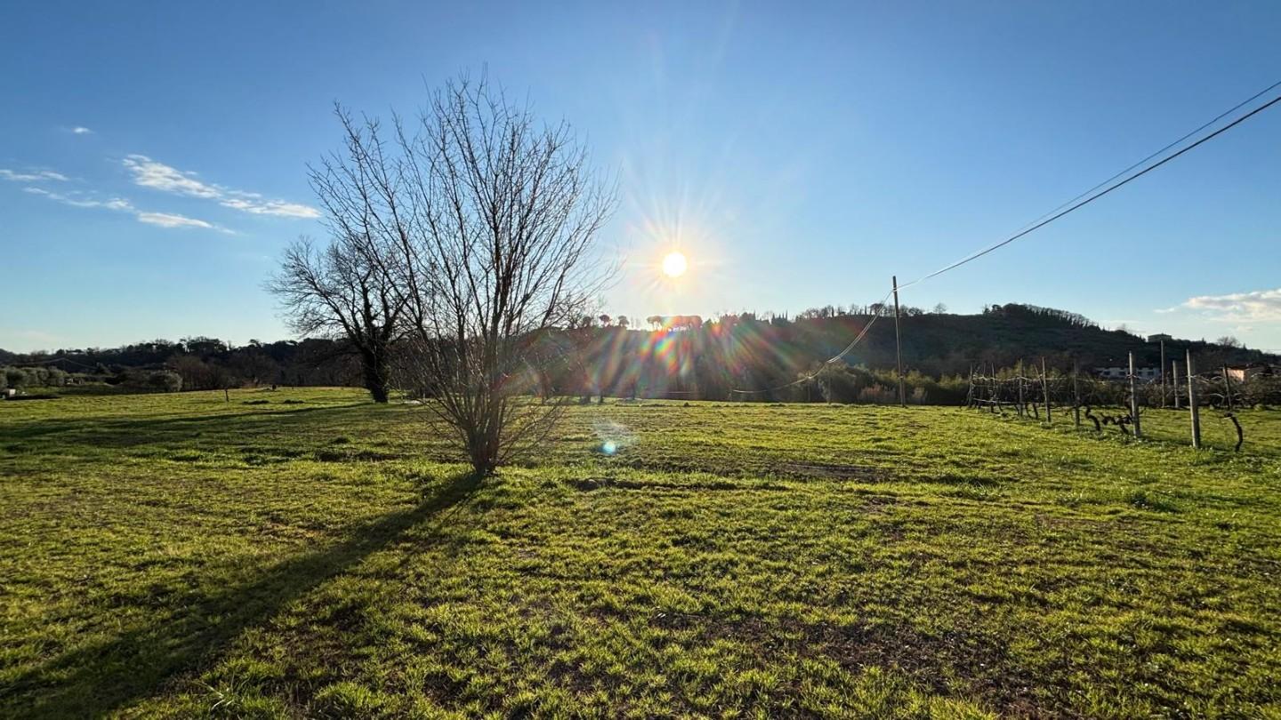 immagine annuncio 5 di 6