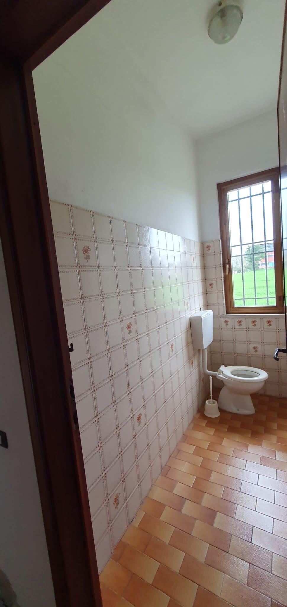 Capannone in affitto, Porcari padule