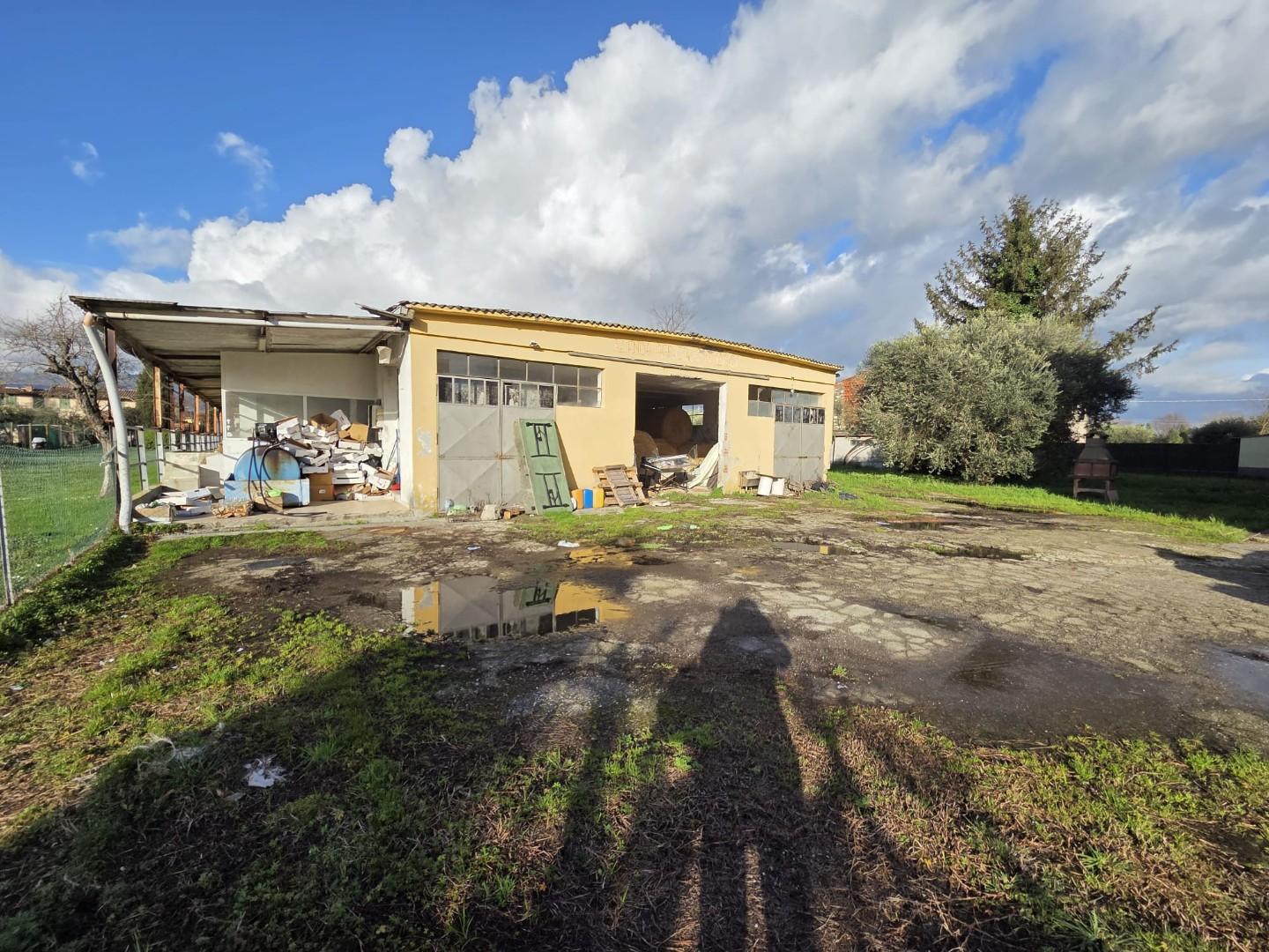 immagine annuncio 3 di 6