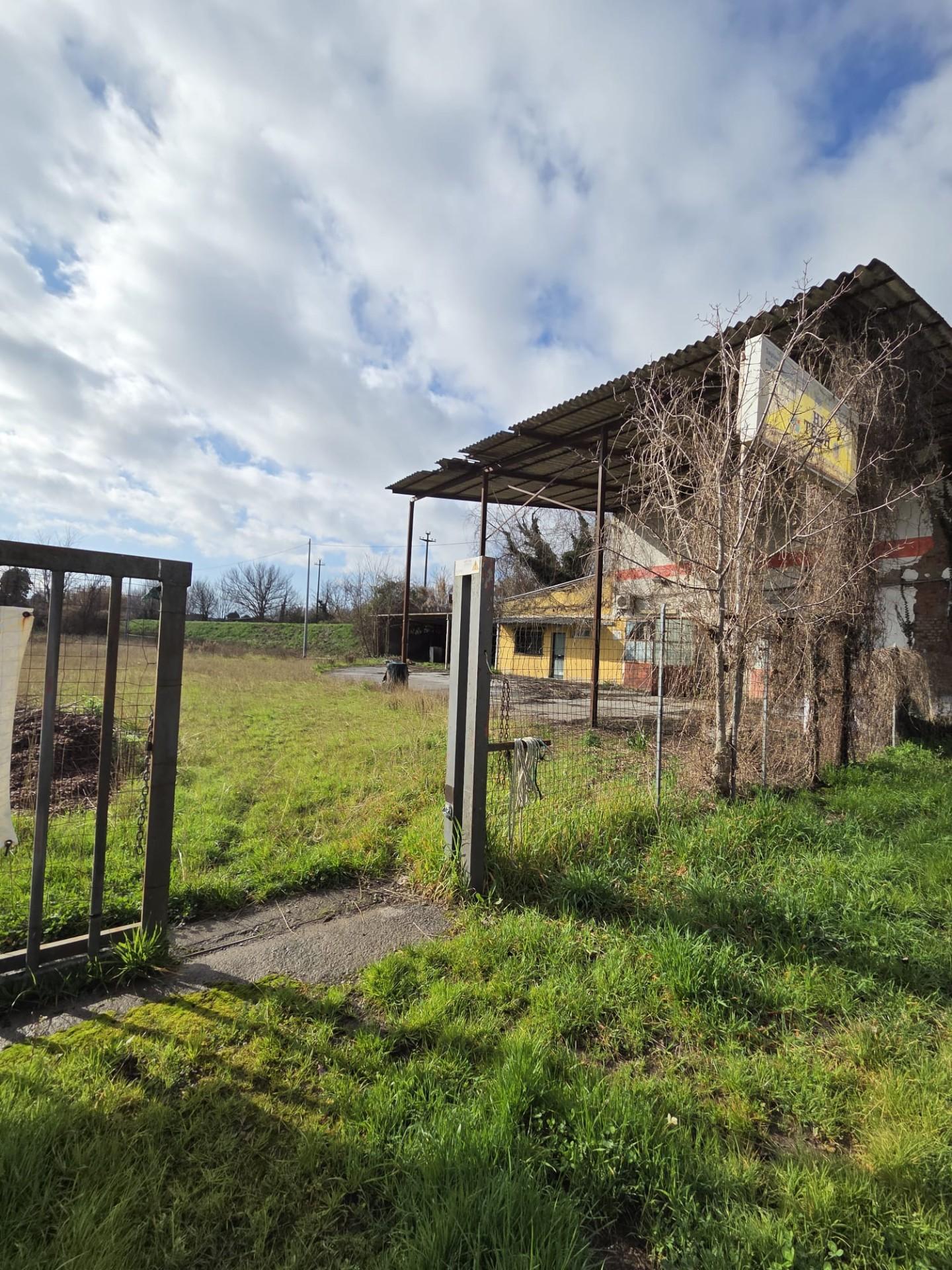 immagine annuncio 5 di 6