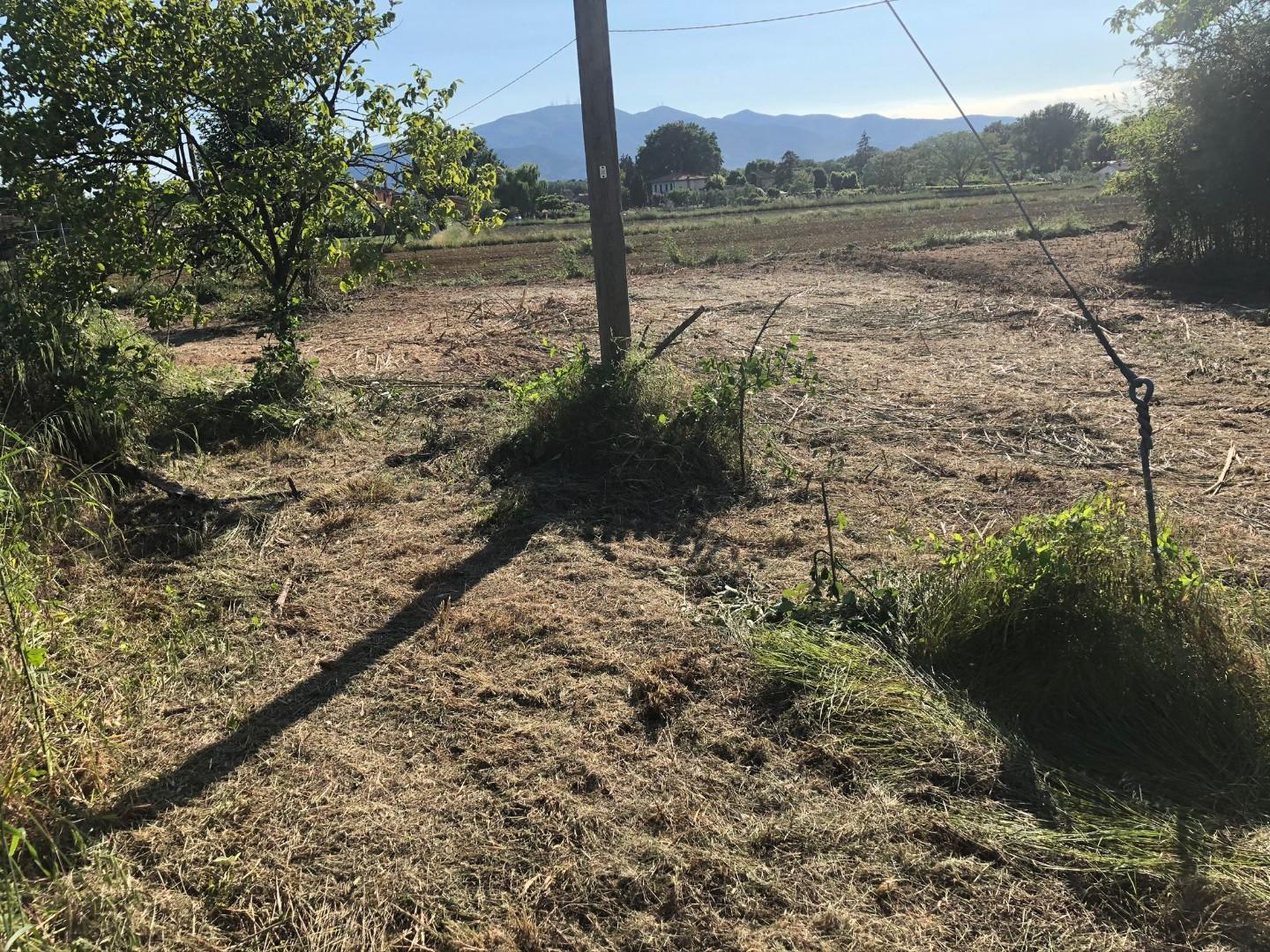 Terreno Edificabile in vendita, Castelfranco di Sotto villa campanile