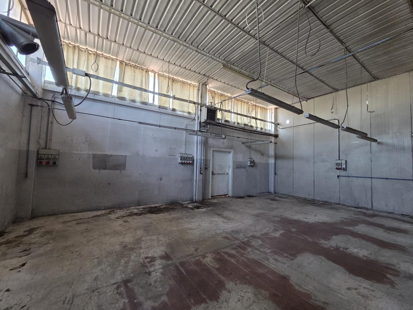 immagine annuncio 3 di 6