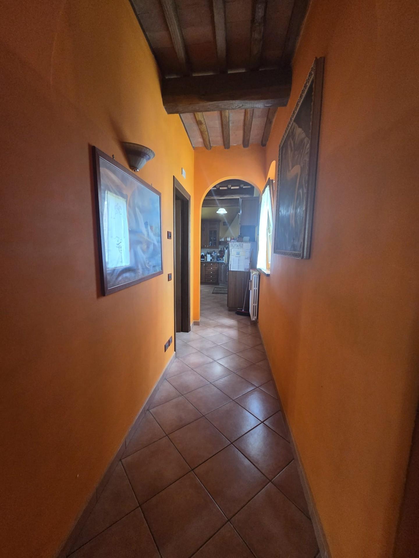 Villa con giardino a Montecarlo