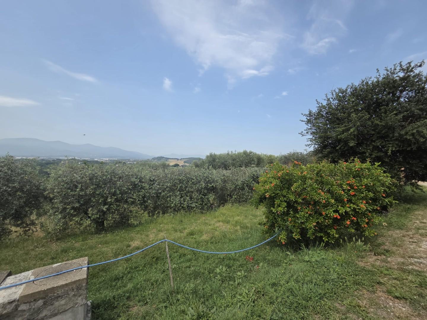 Rustico con giardino a Montecarlo