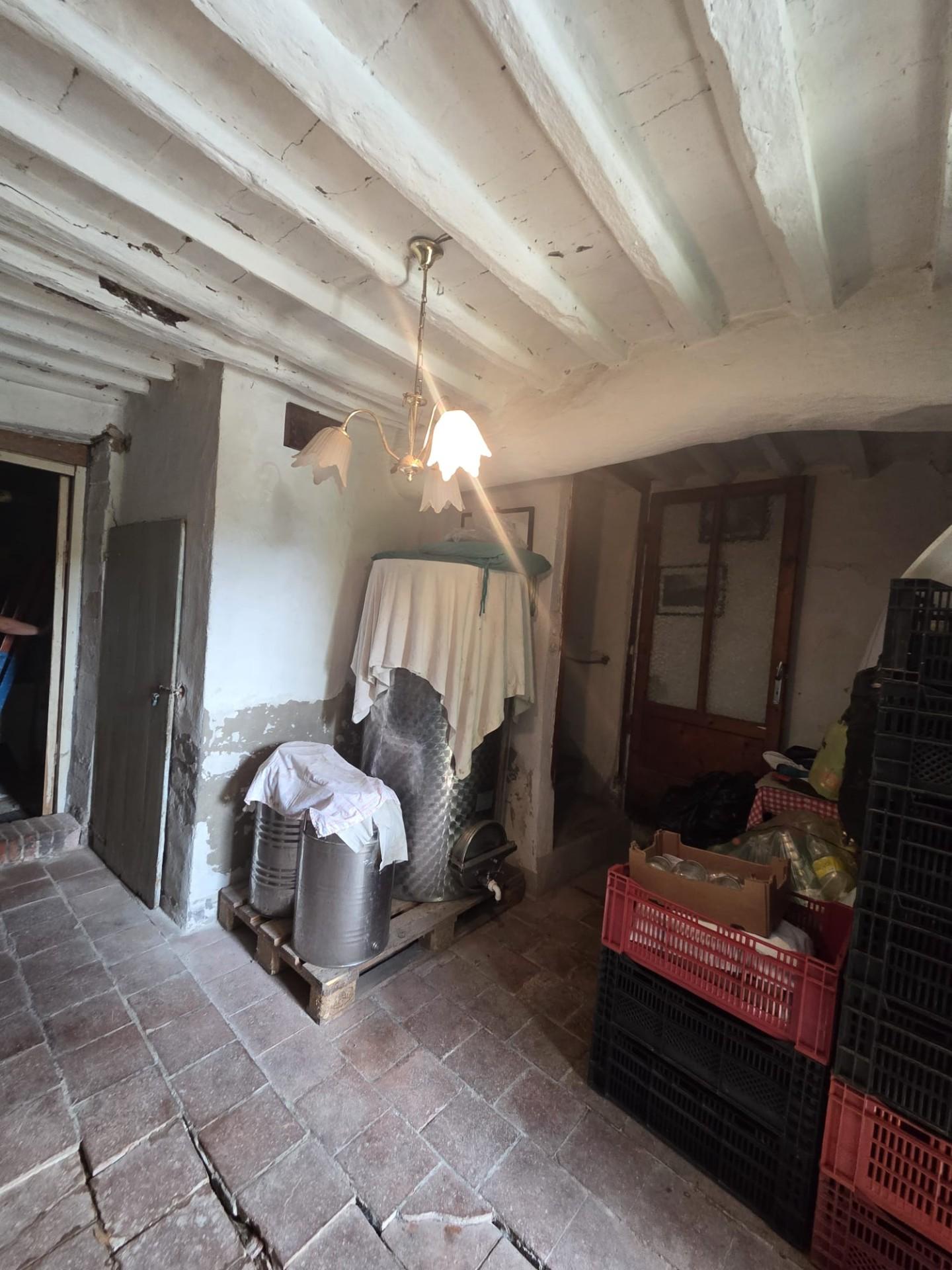 Casa indipendente con giardino a Montecarlo