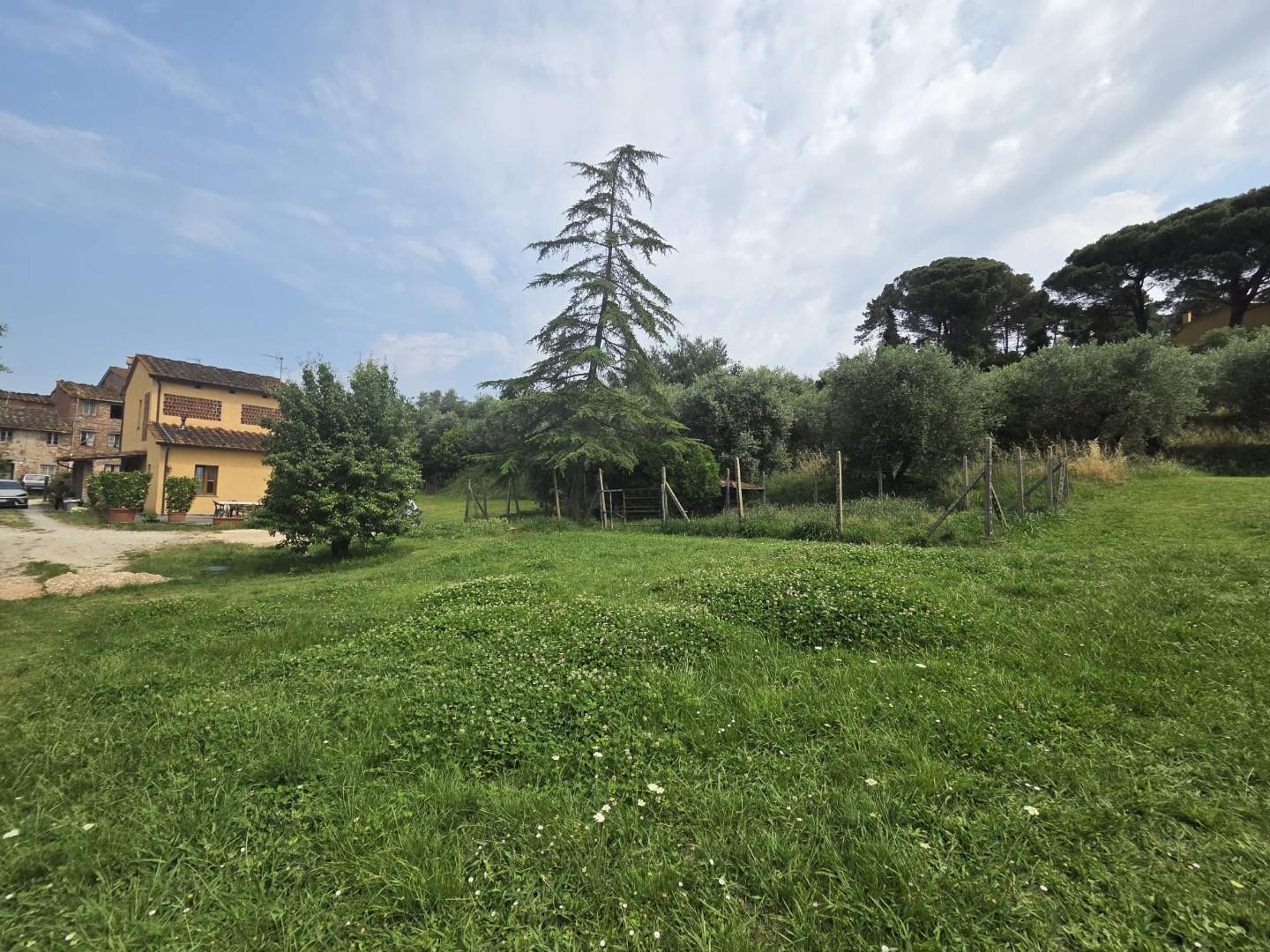 Rustico con giardino a Montecarlo