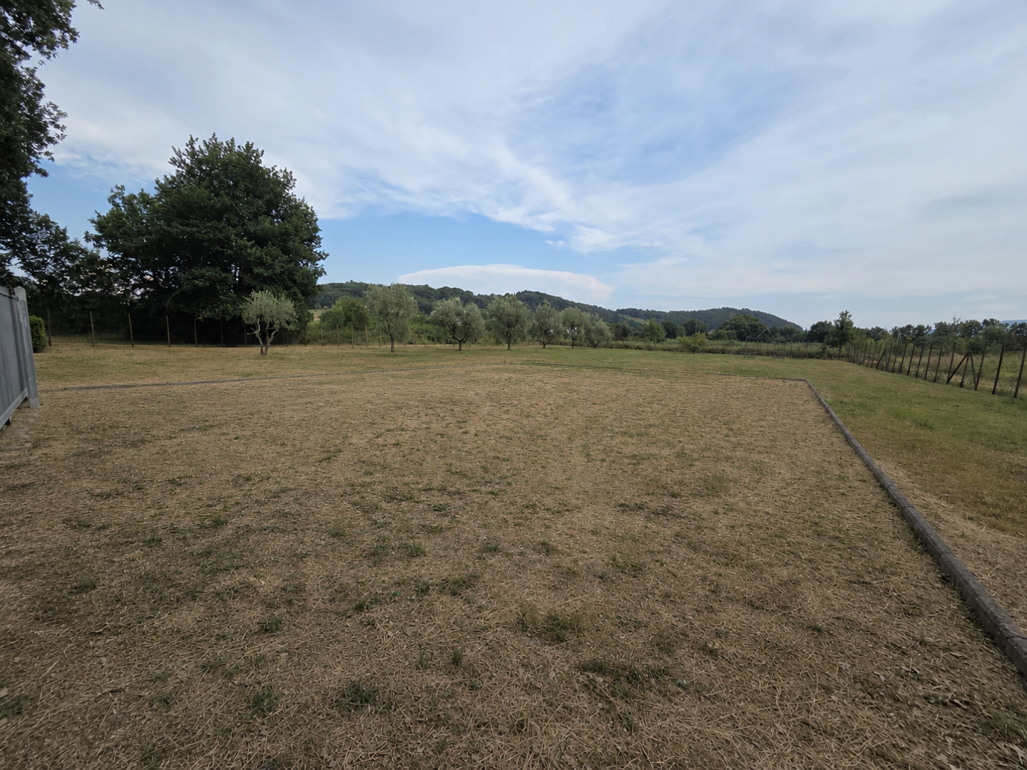 Terreno Agricolo in vendita, Porcari rughi