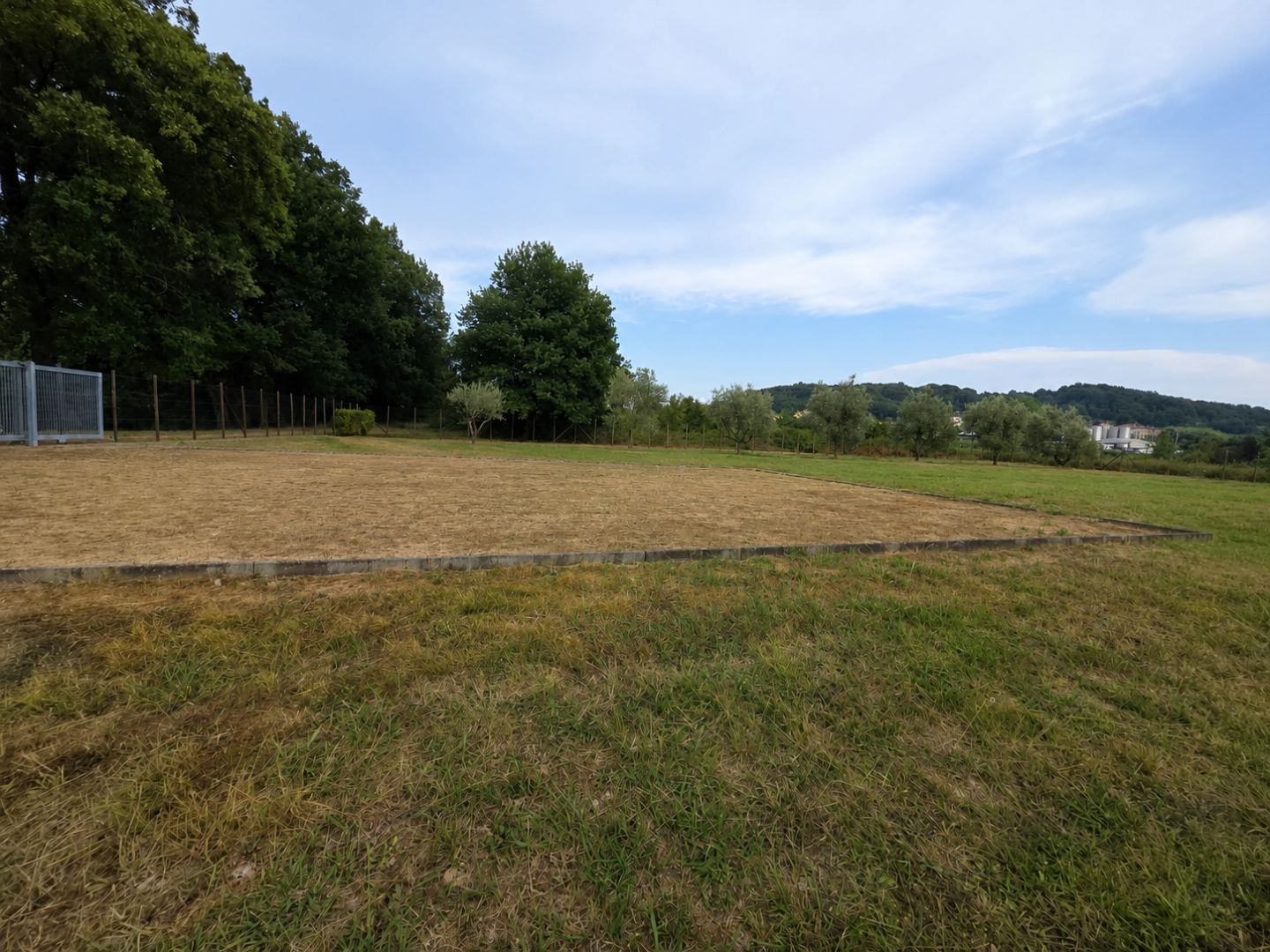 Terreno Agricolo in vendita, Porcari rughi
