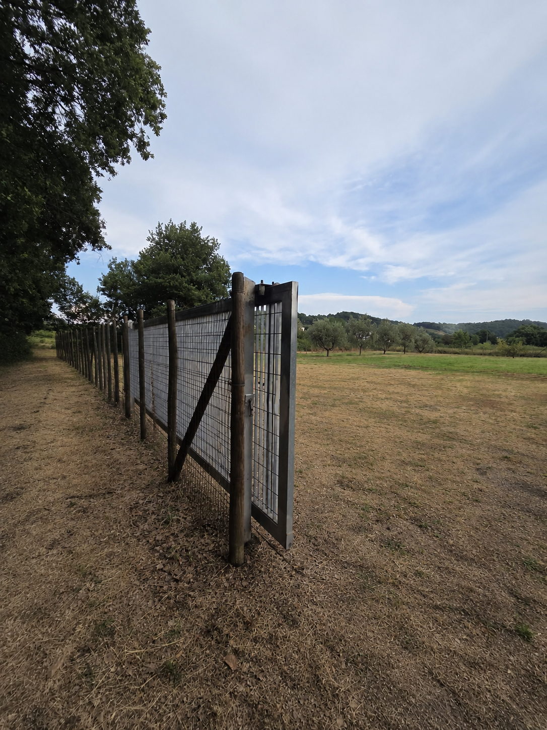 Terreno Agricolo in vendita, Porcari rughi