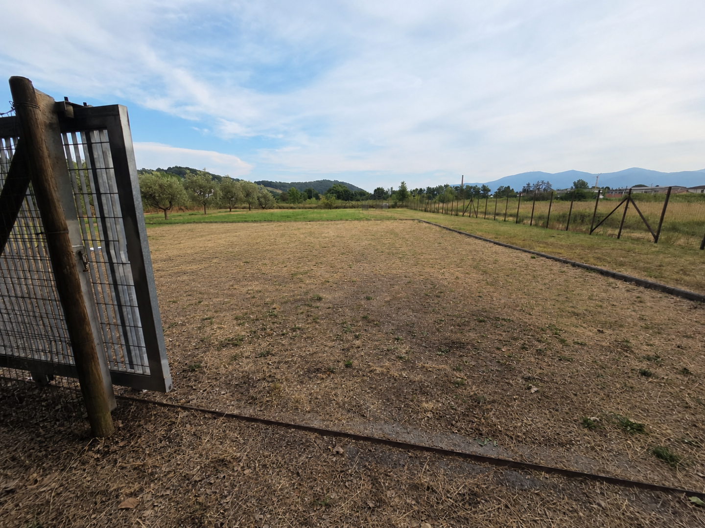Terreno Agricolo in vendita, Porcari rughi