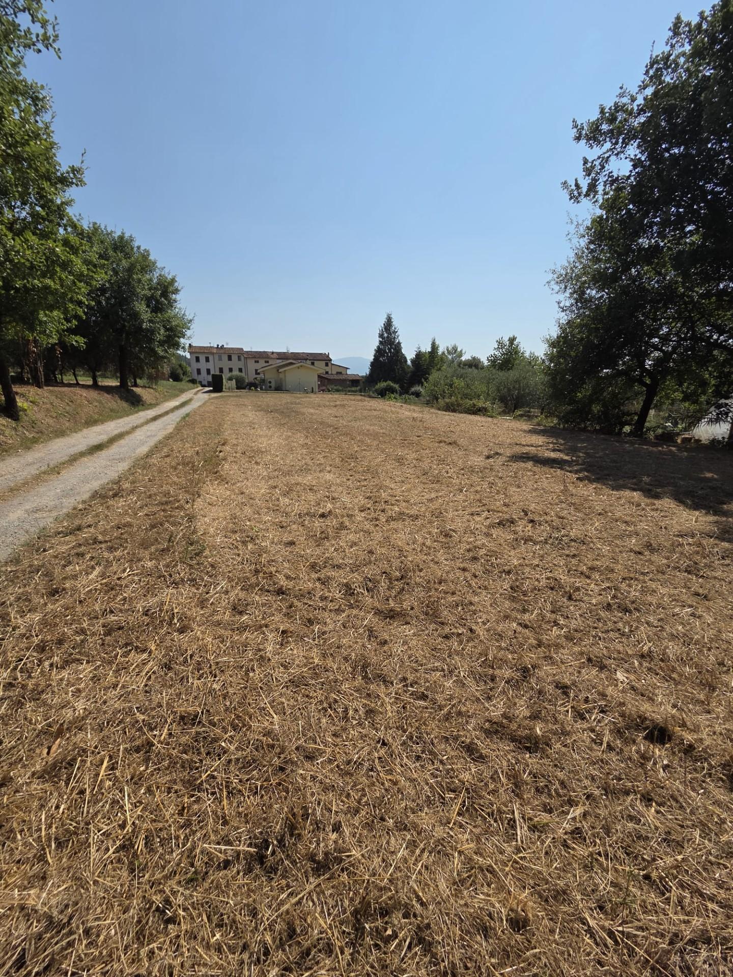 Terreno Agricolo in vendita, Porcari forabosco