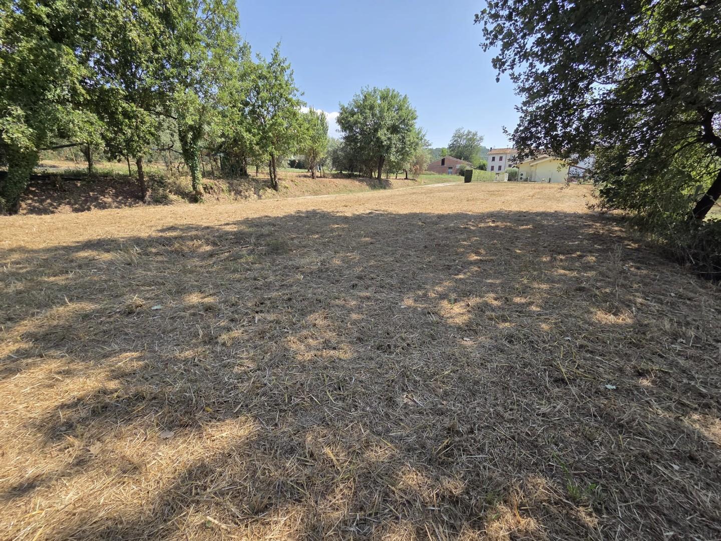 Terreno Agricolo in vendita, Porcari forabosco