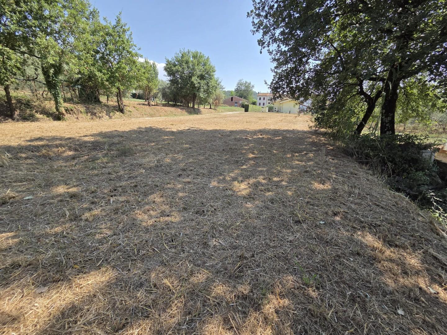 Terreno Agricolo in vendita, Porcari forabosco