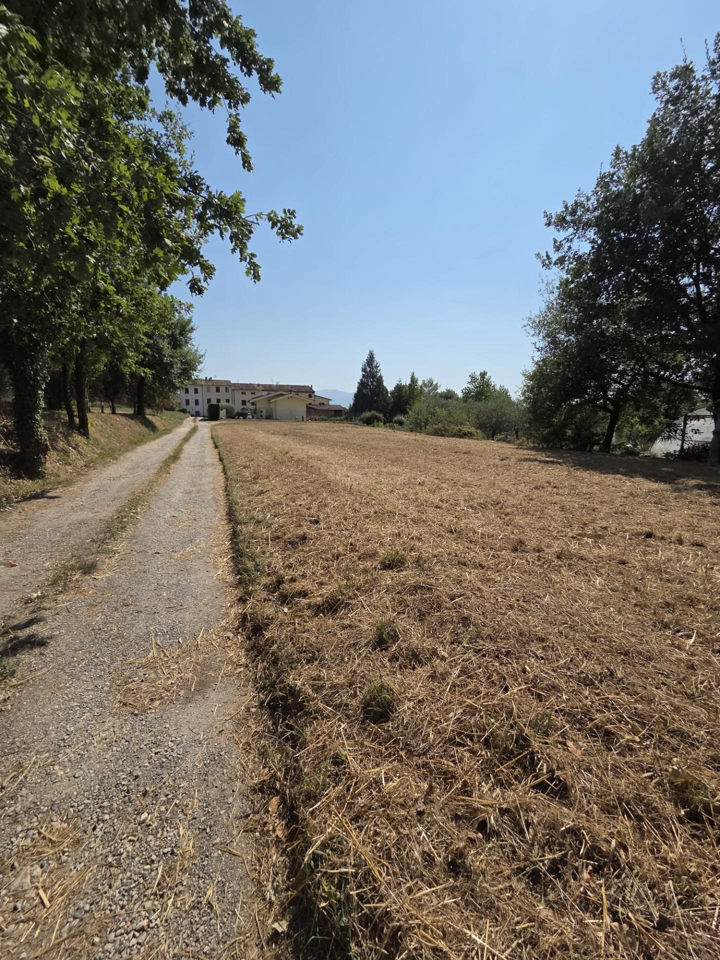 Terreno Agricolo in vendita, Porcari forabosco