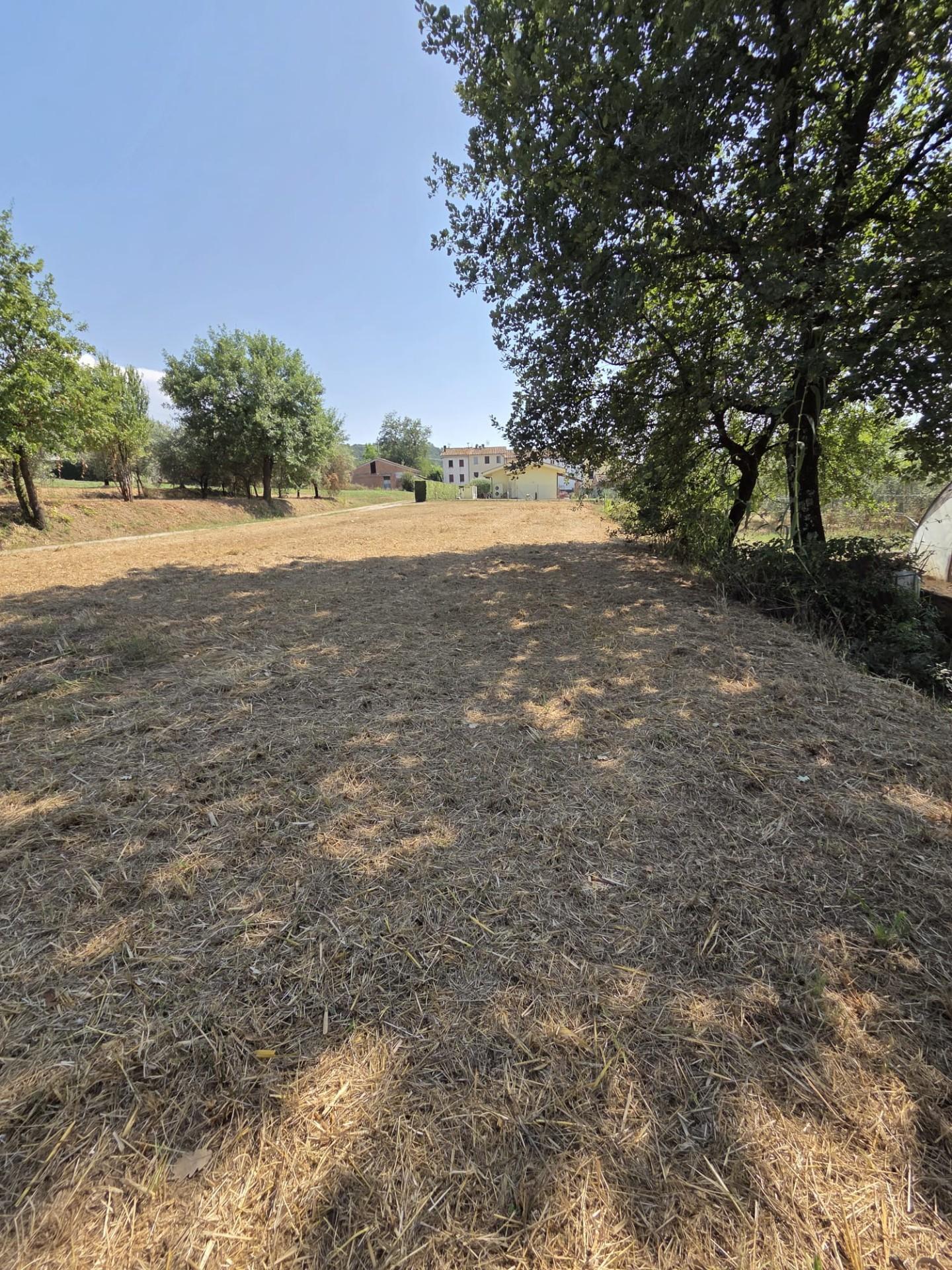 Terreno Agricolo in vendita, Porcari forabosco