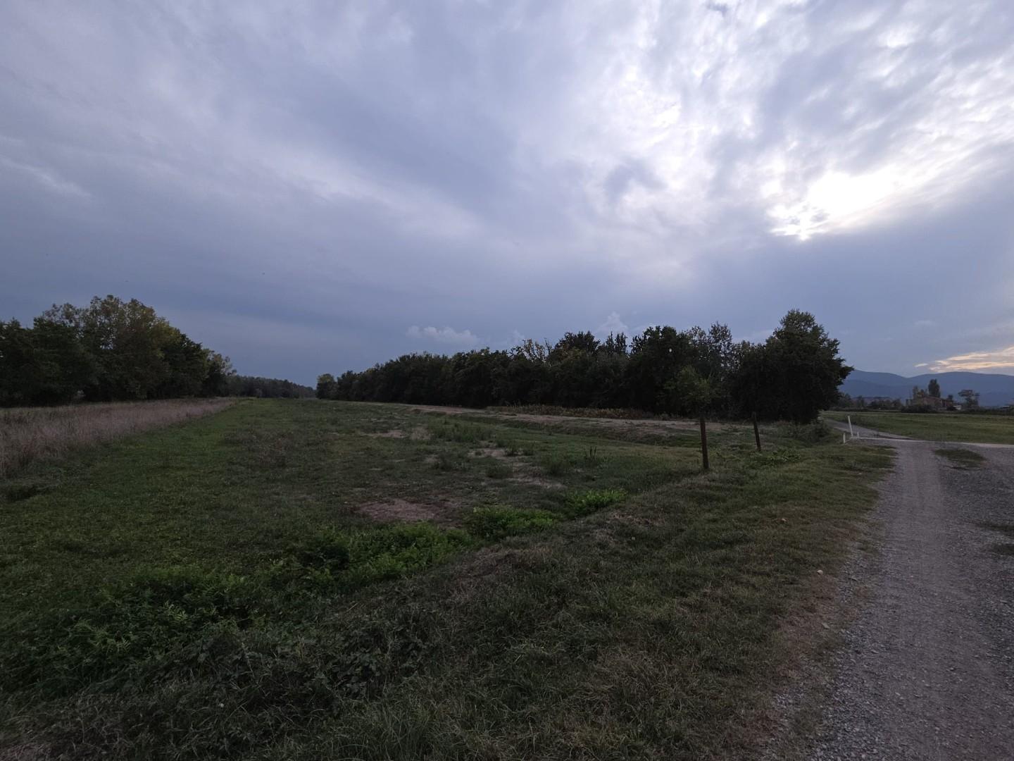 Terreno Agricolo in vendita, Porcari padule