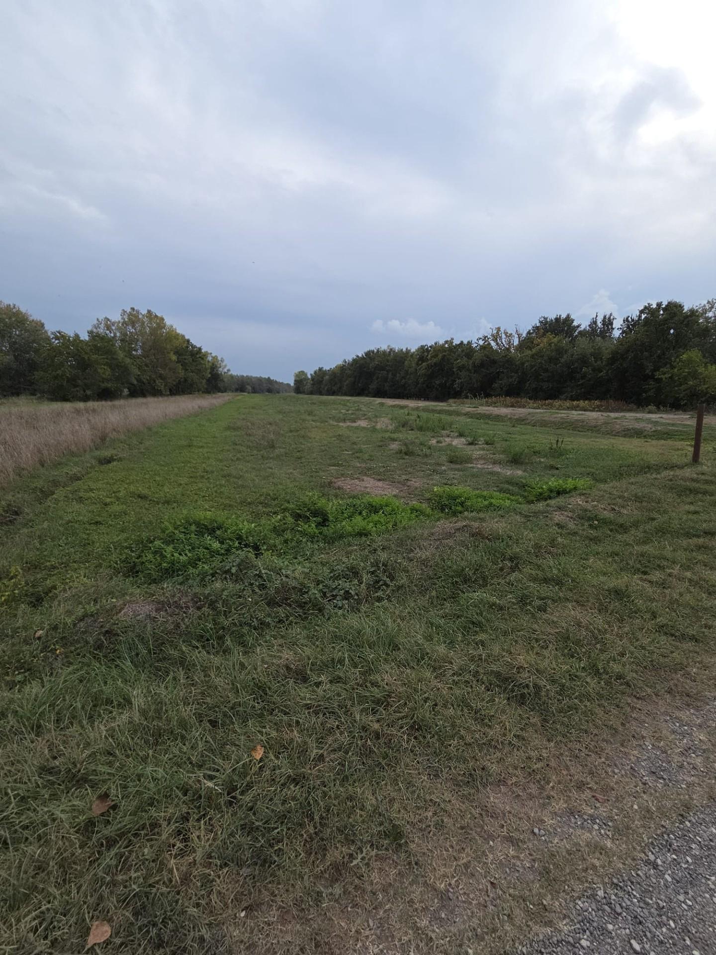 Terreno Agricolo in vendita, Porcari padule