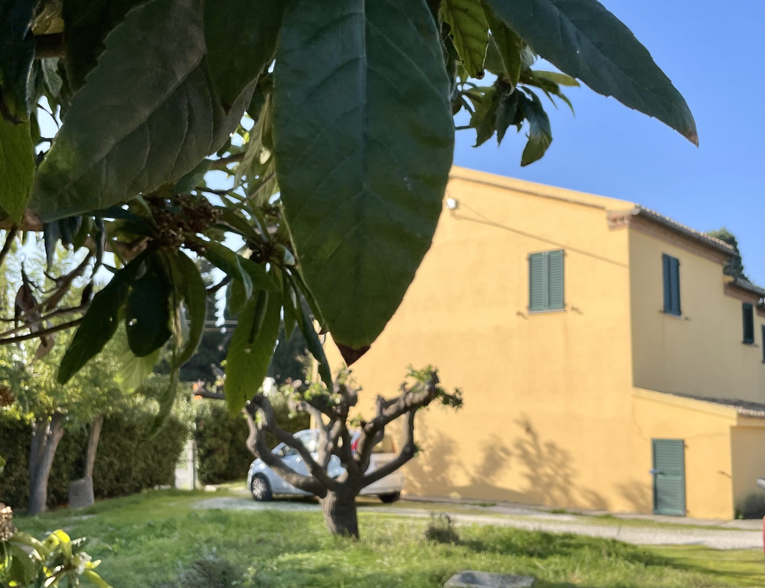 Casa indipendente con giardino in via massignano 1, Camerano