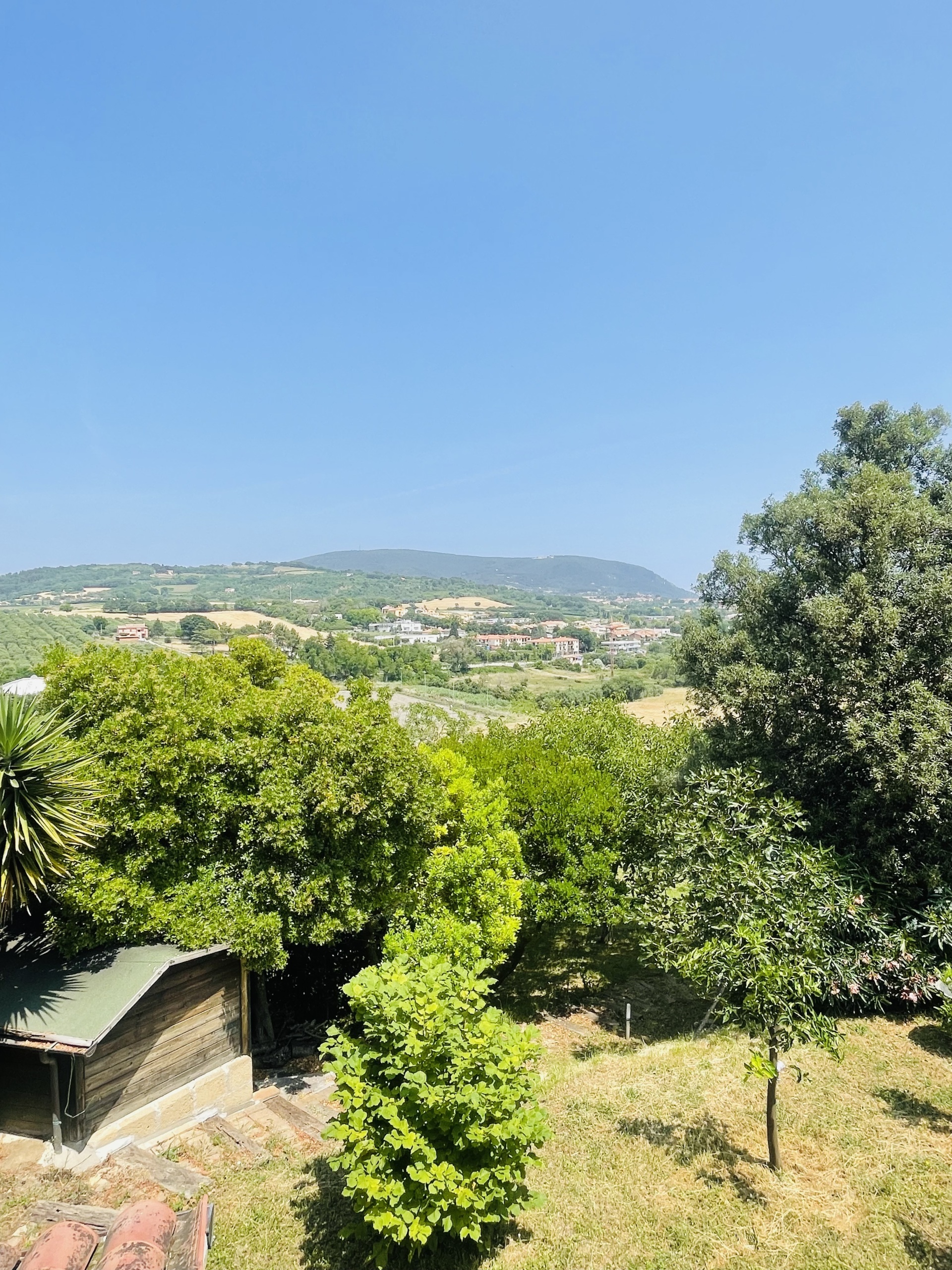 immagine annuncio 5 di 6