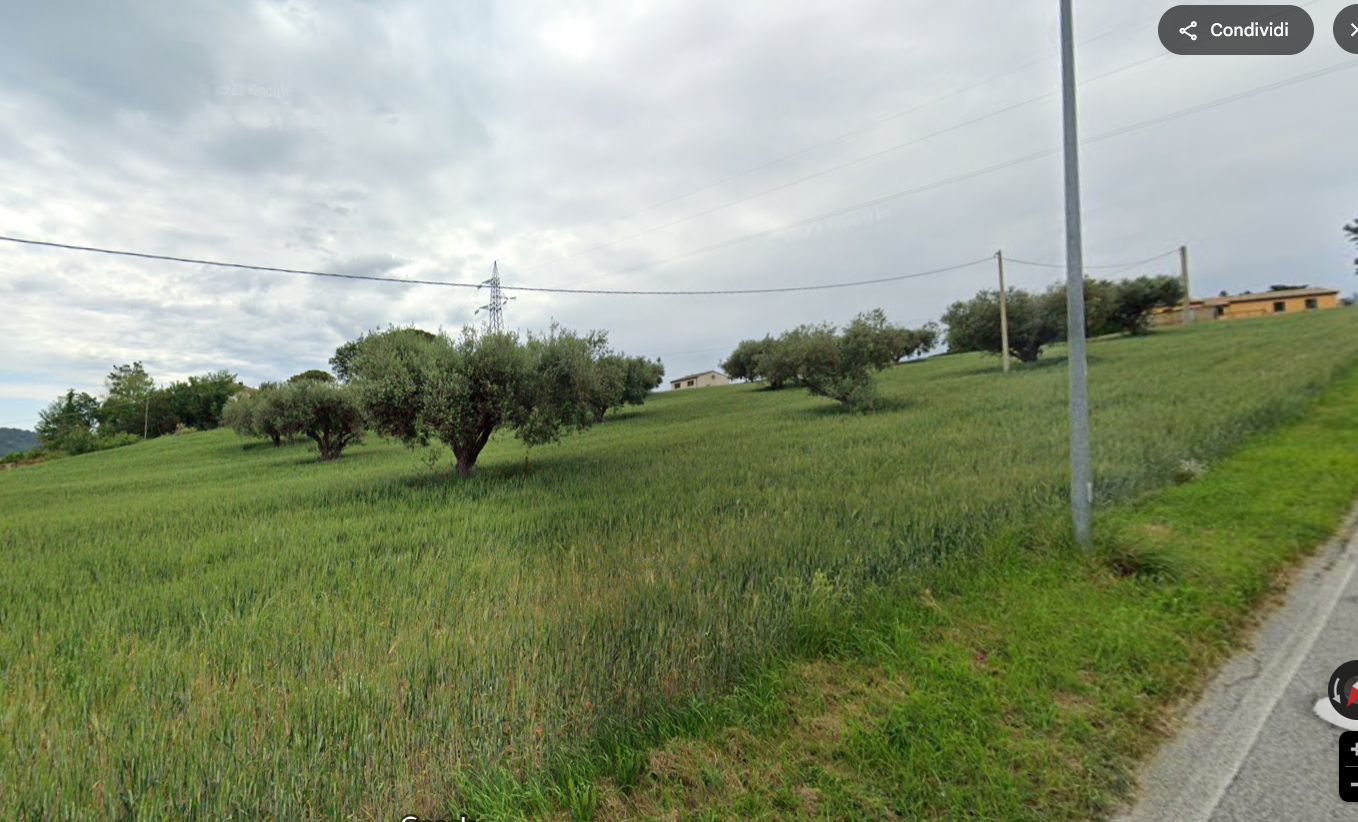 immagine annuncio 2 di 3