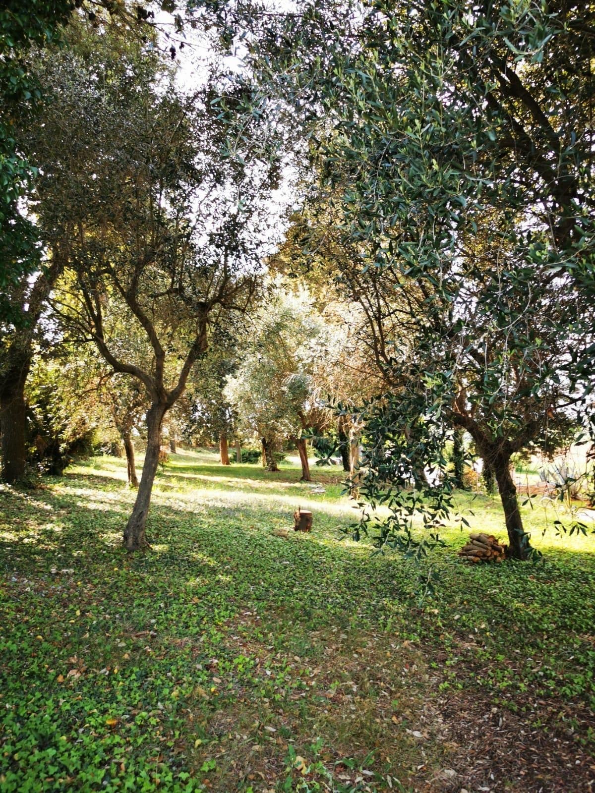 Rustico con giardino in via casino pulini 17, Montemarciano