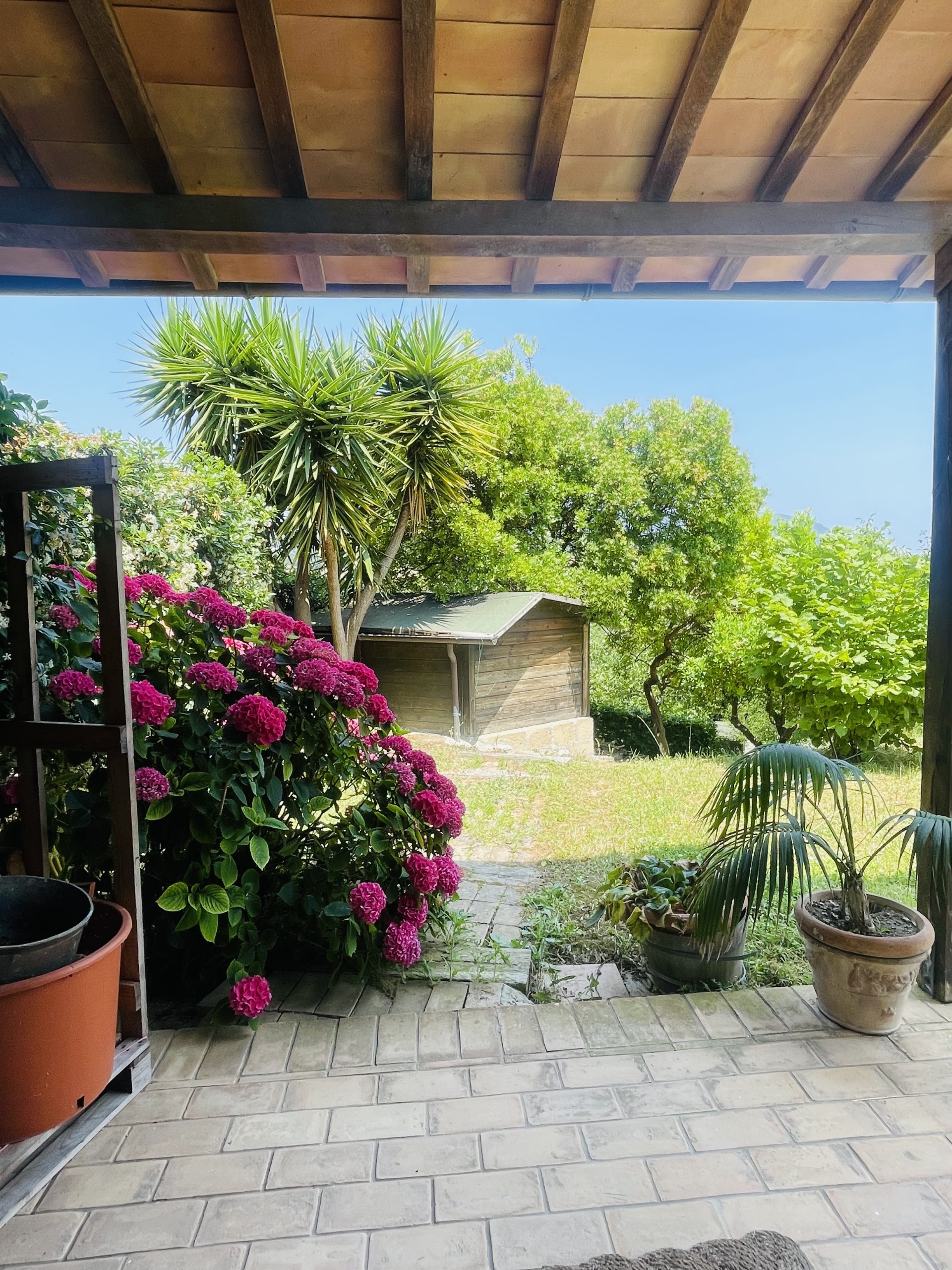 Villa con giardino in coppo, Sirolo