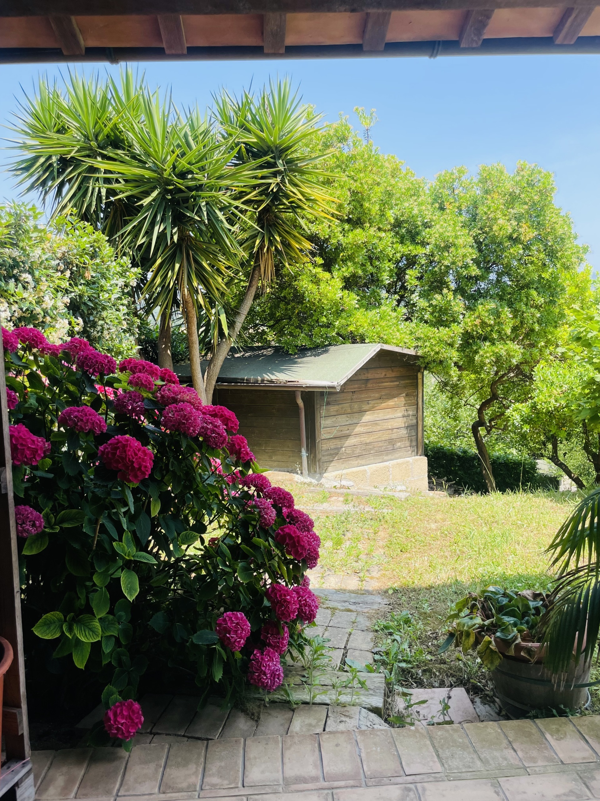 Villa con giardino in coppo, Sirolo