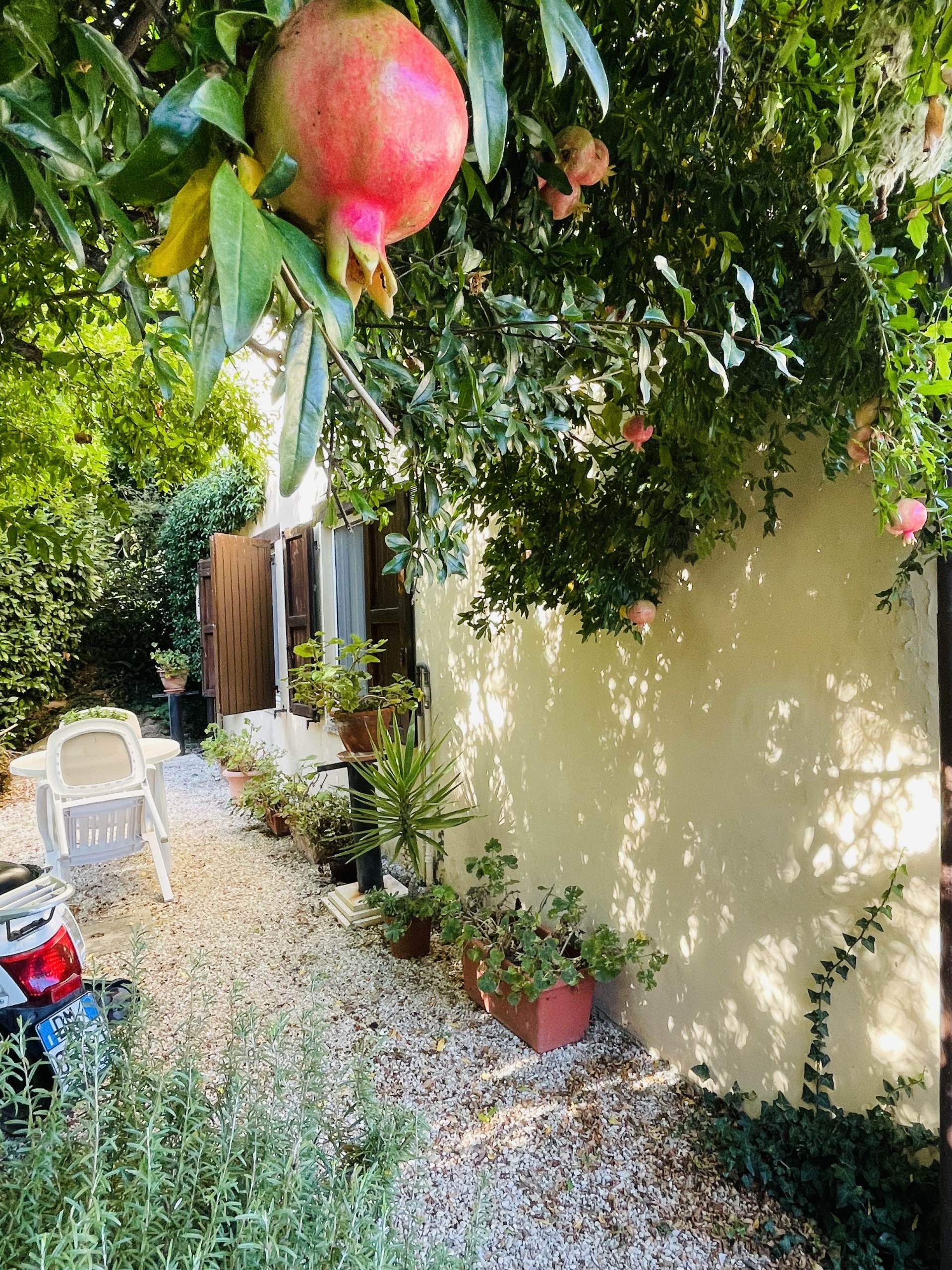 Rustico con giardino in san savino, Montecosaro