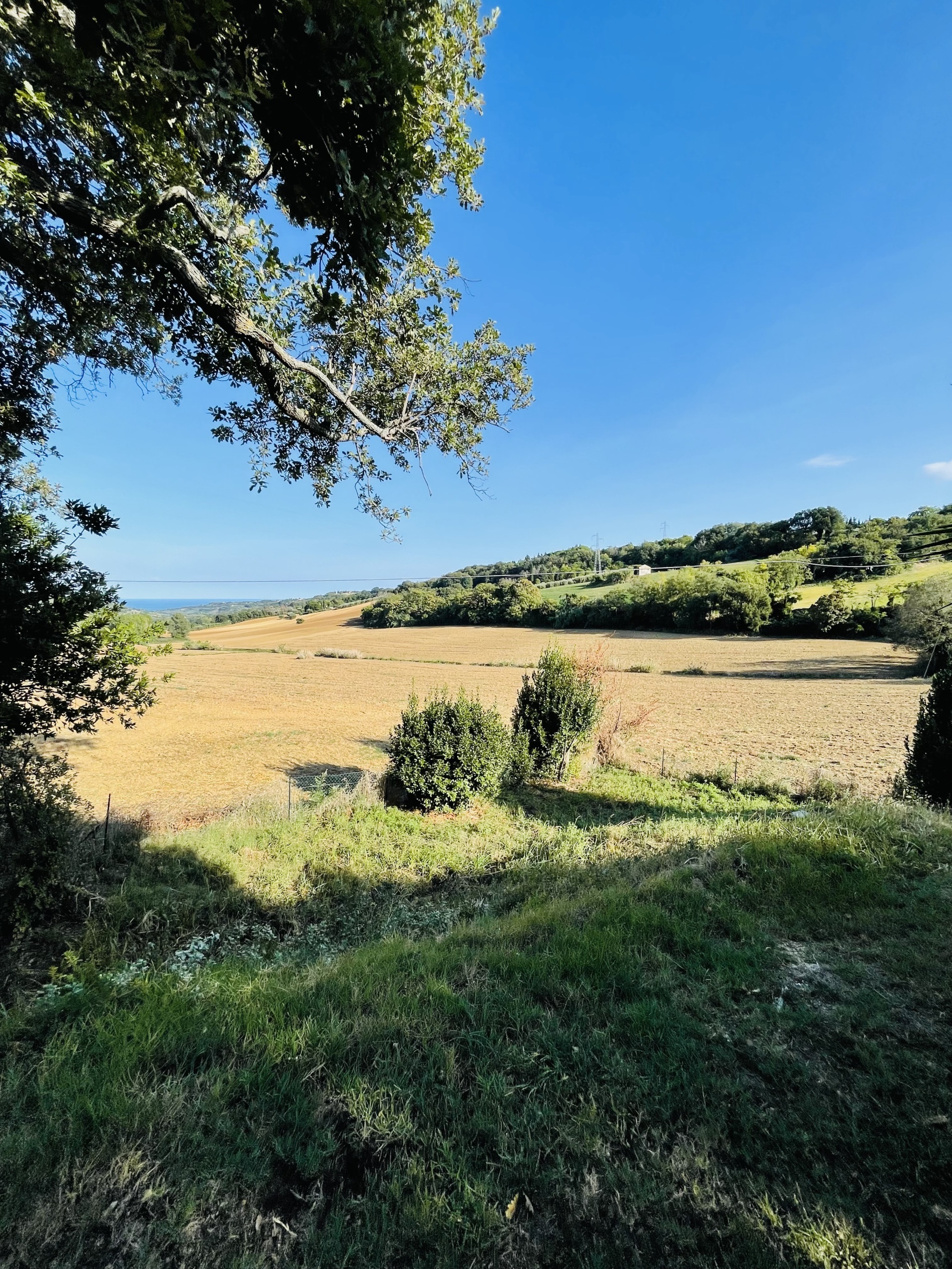 Rustico con giardino in san savino, Montecosaro