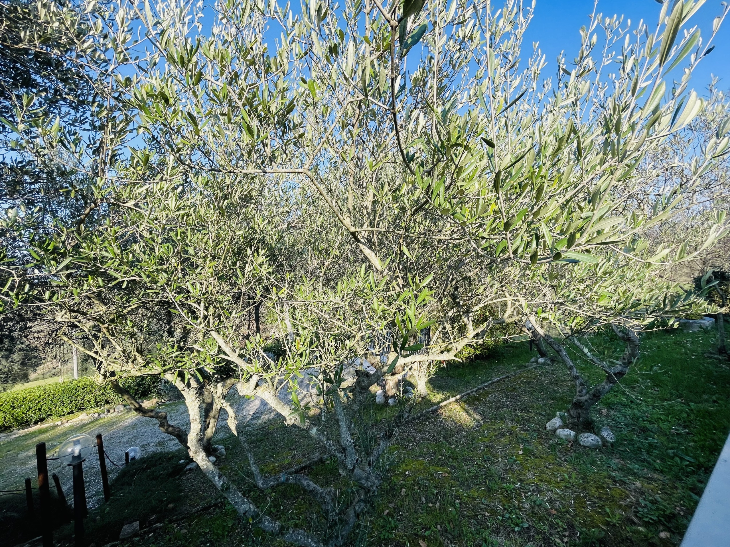 Villetta a schiera in vendita in via battinebbia, Jesi