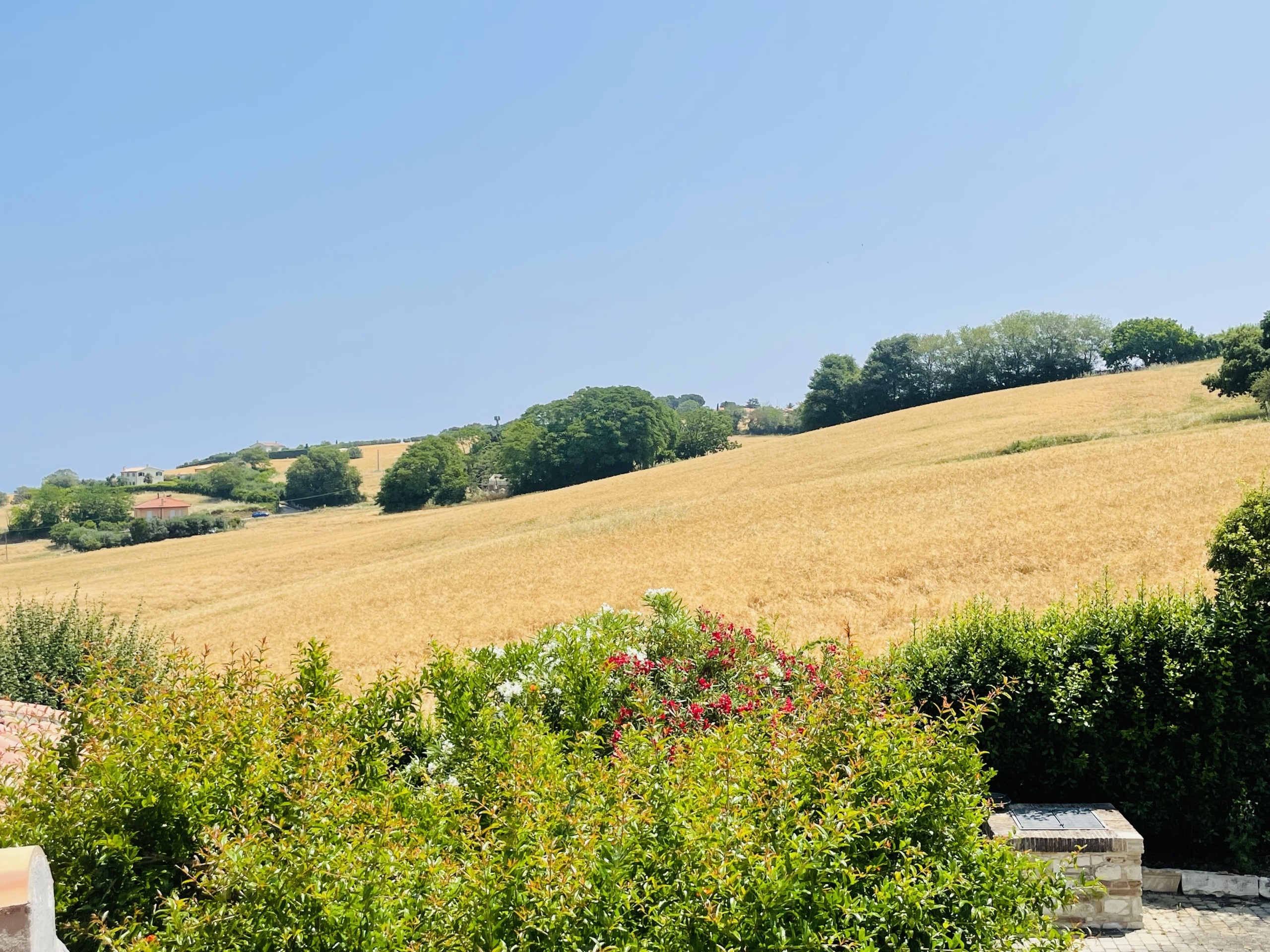 Villa con giardino in coppo, Sirolo
