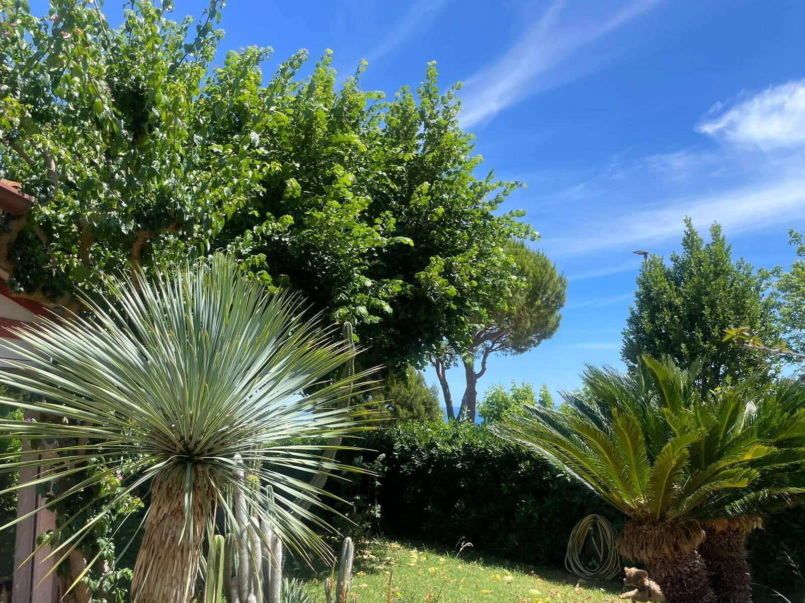 Villa vista mare in via del taunus 33, Ancona