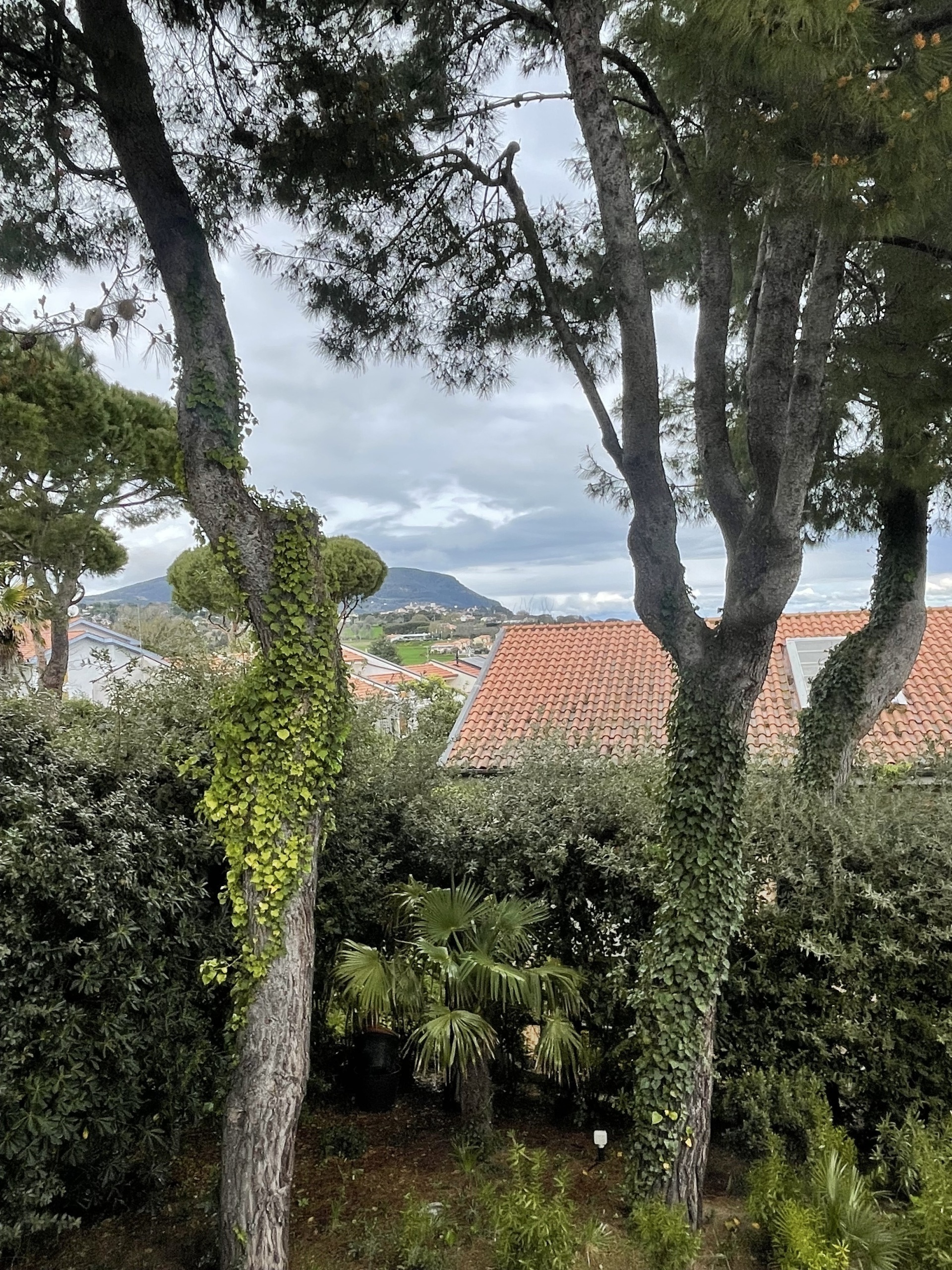 Villa con giardino in via ischia, Numana
