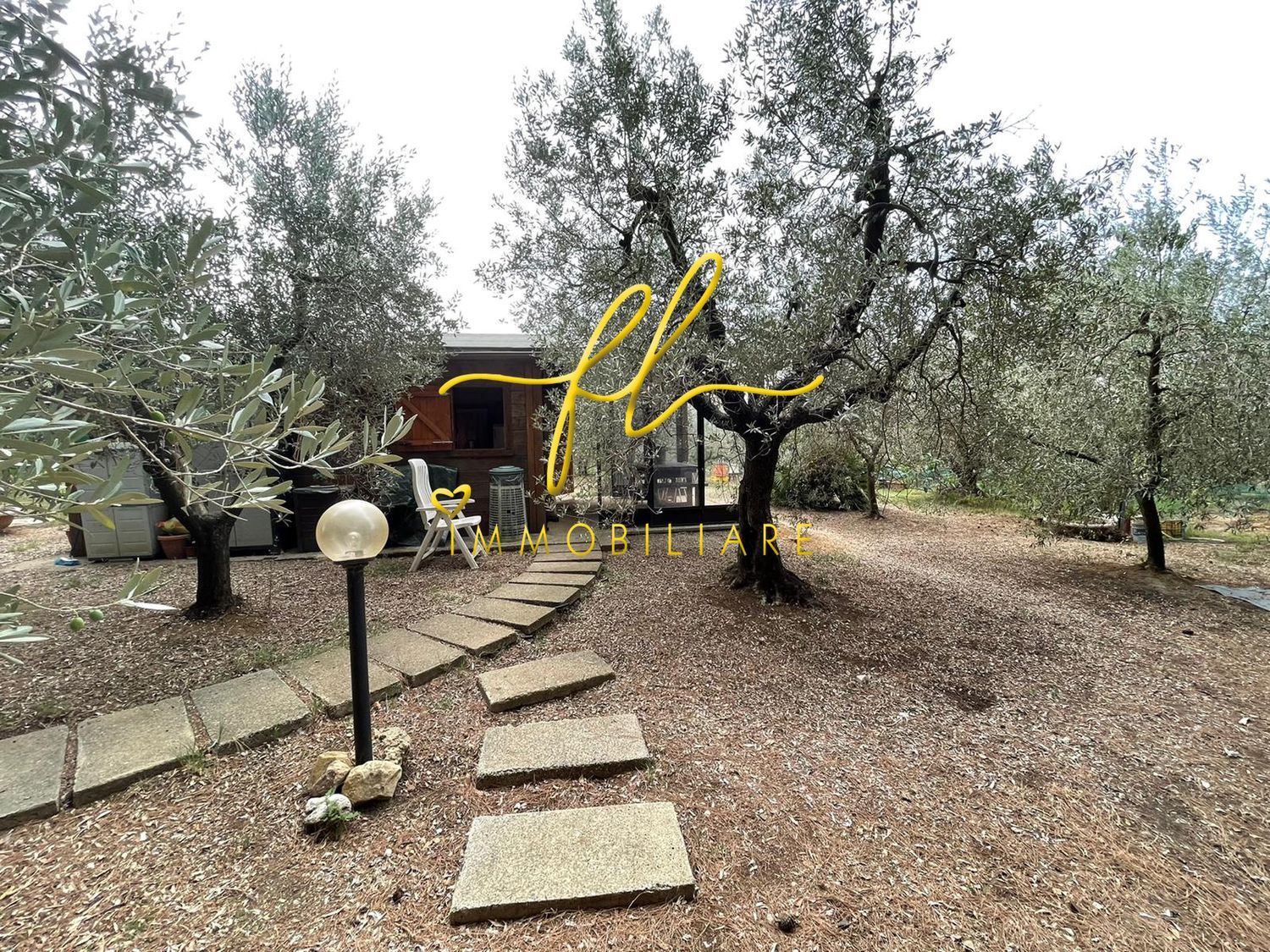 Terreno Agricolo in vendita, Cecina paratino