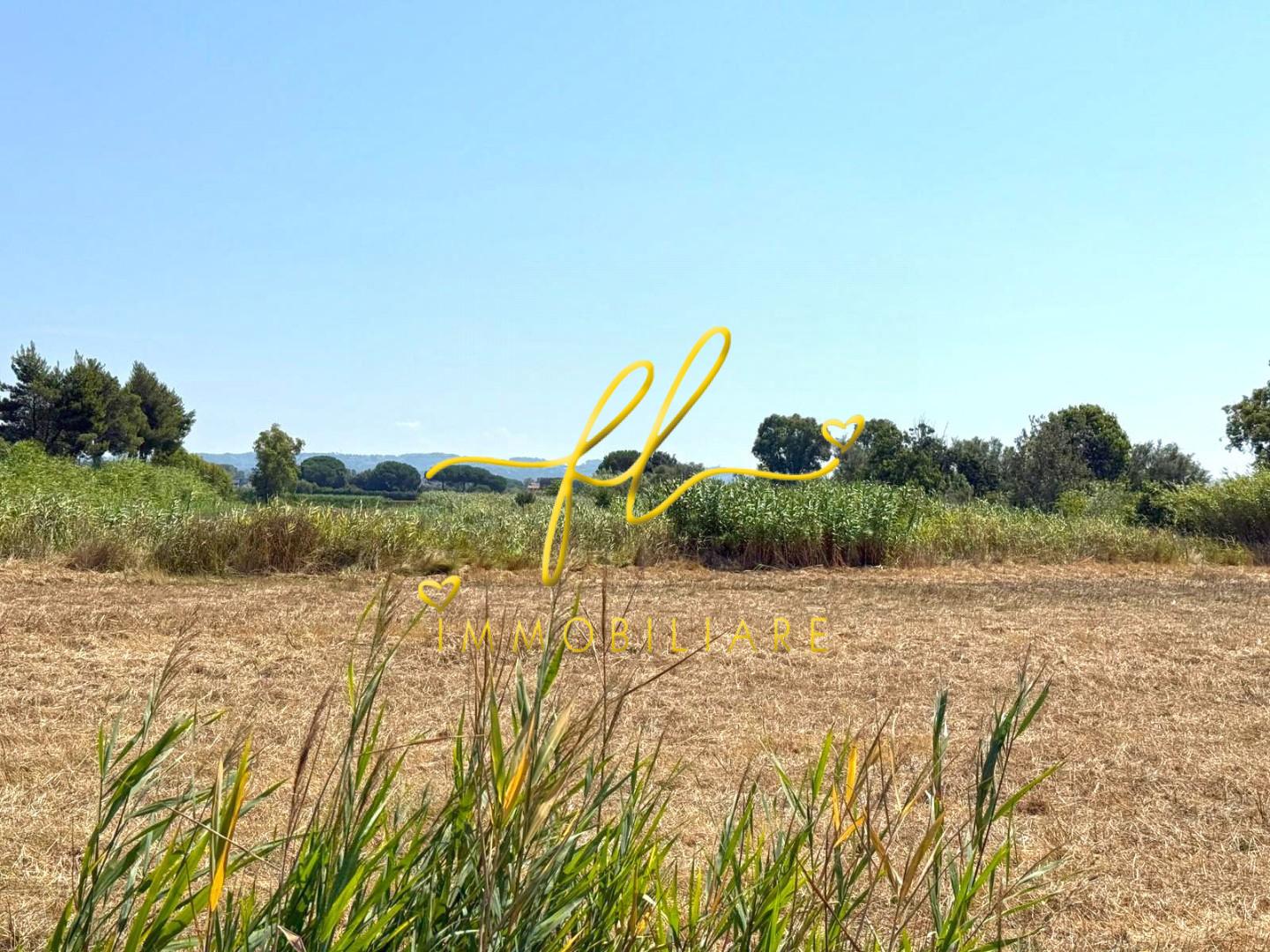 Terreno Agricolo in vendita, Cecina marina